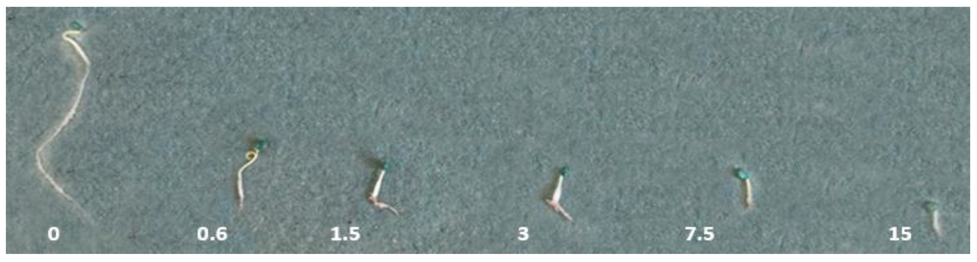 Horticulturae 09 00456 g001