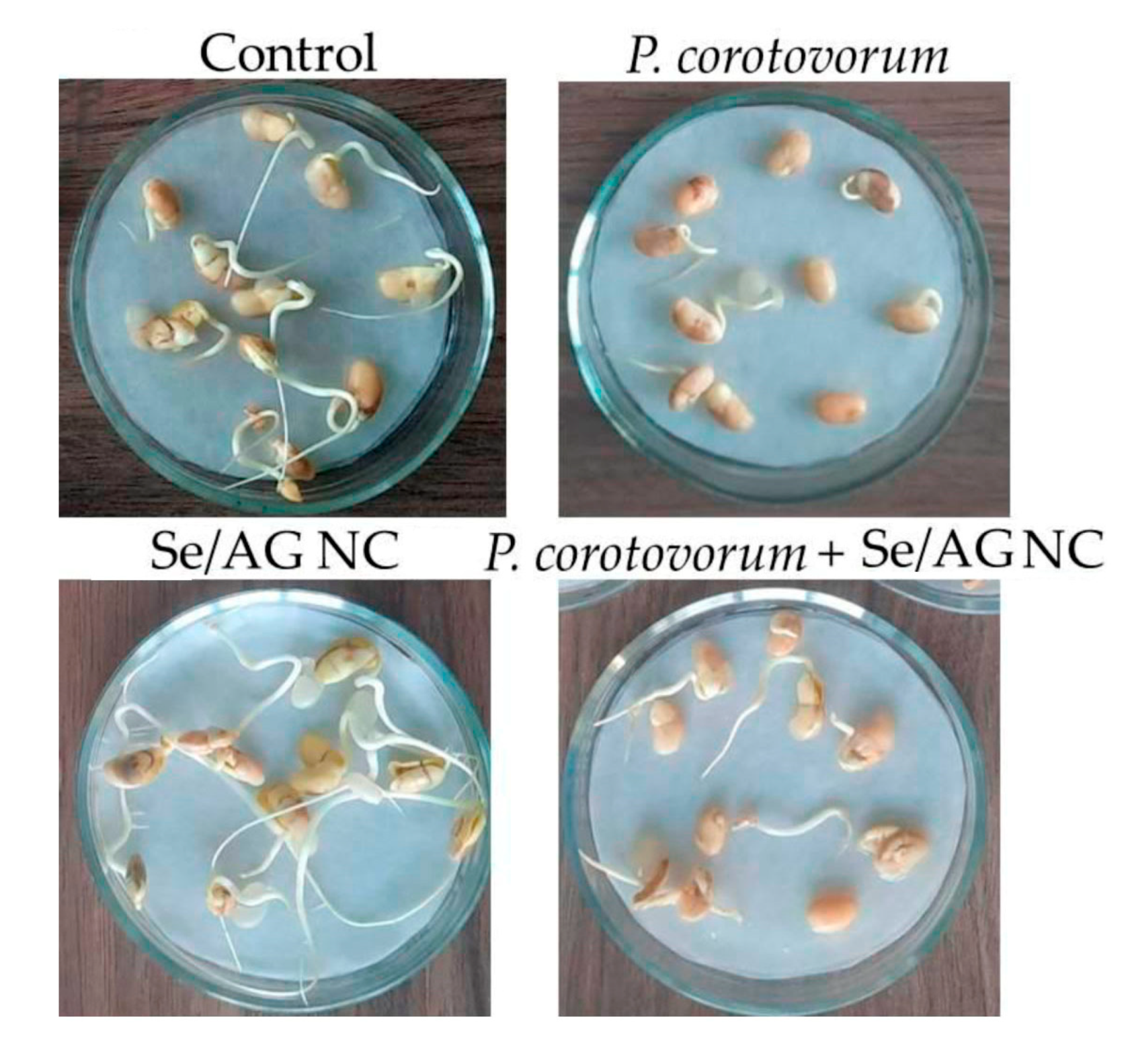 Horticulturae 09 00458 g007
