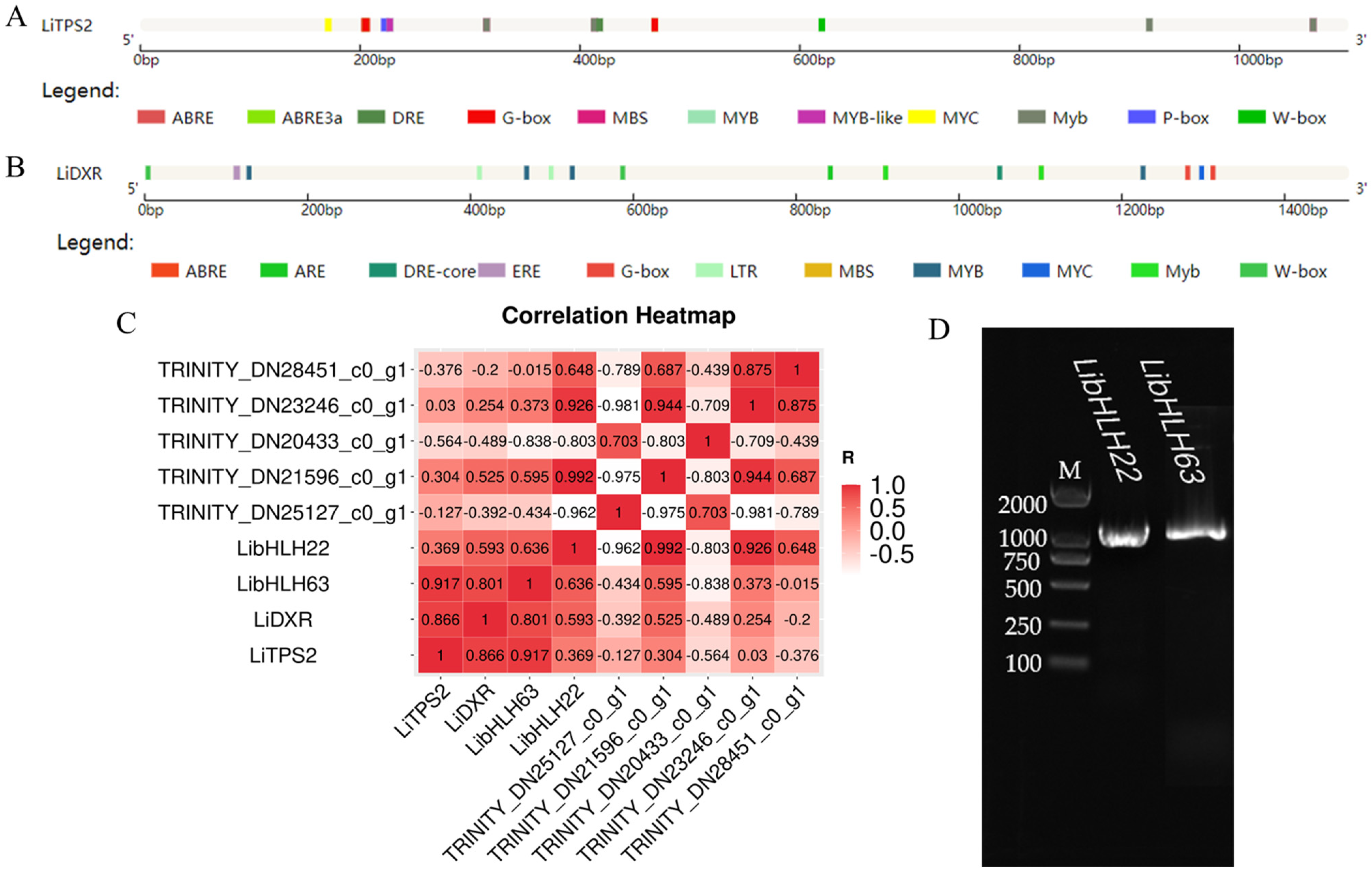 Horticulturae 09 00459 g002