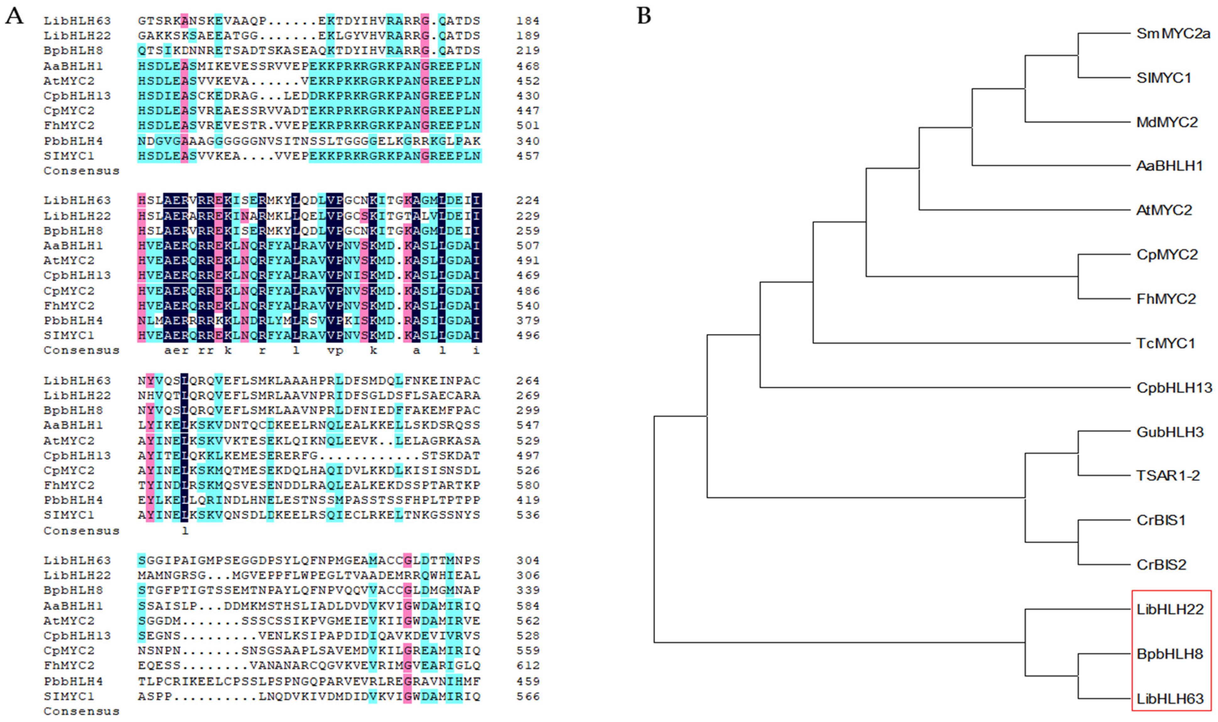 Horticulturae 09 00459 g006