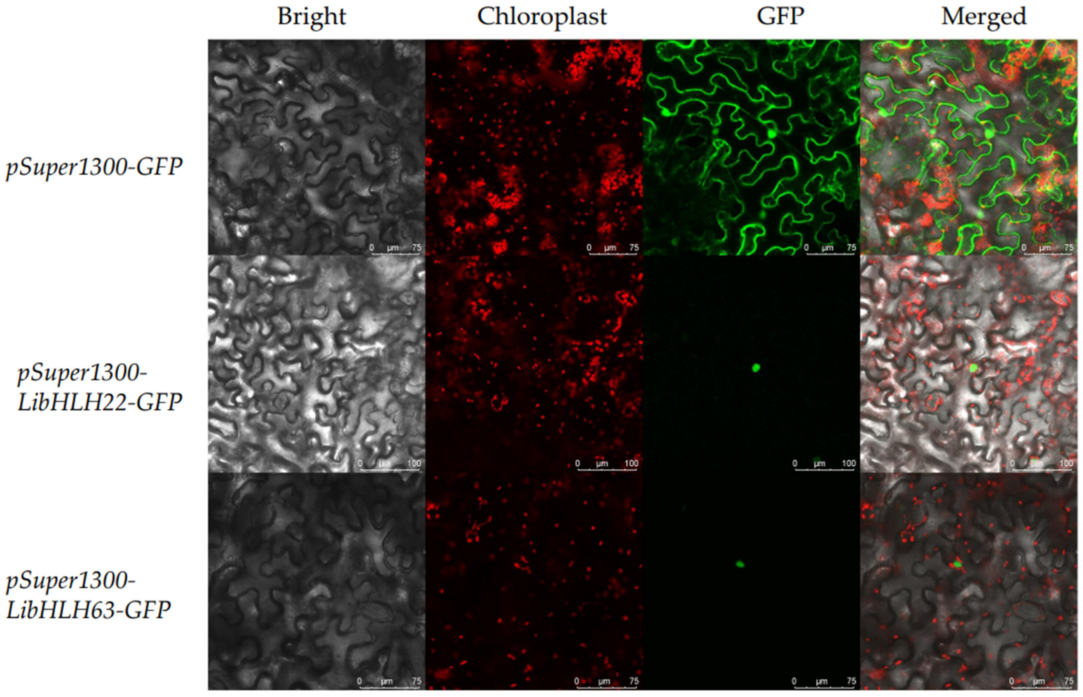 Horticulturae 09 00459 g007