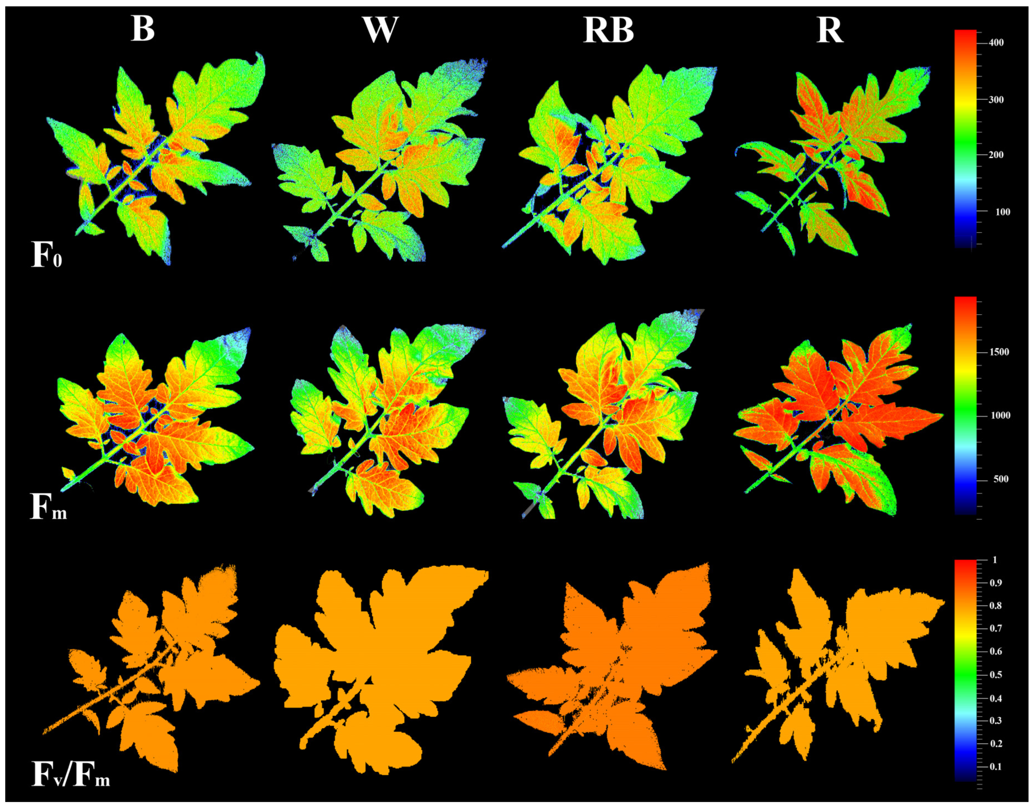 Horticulturae 09 00471 g003