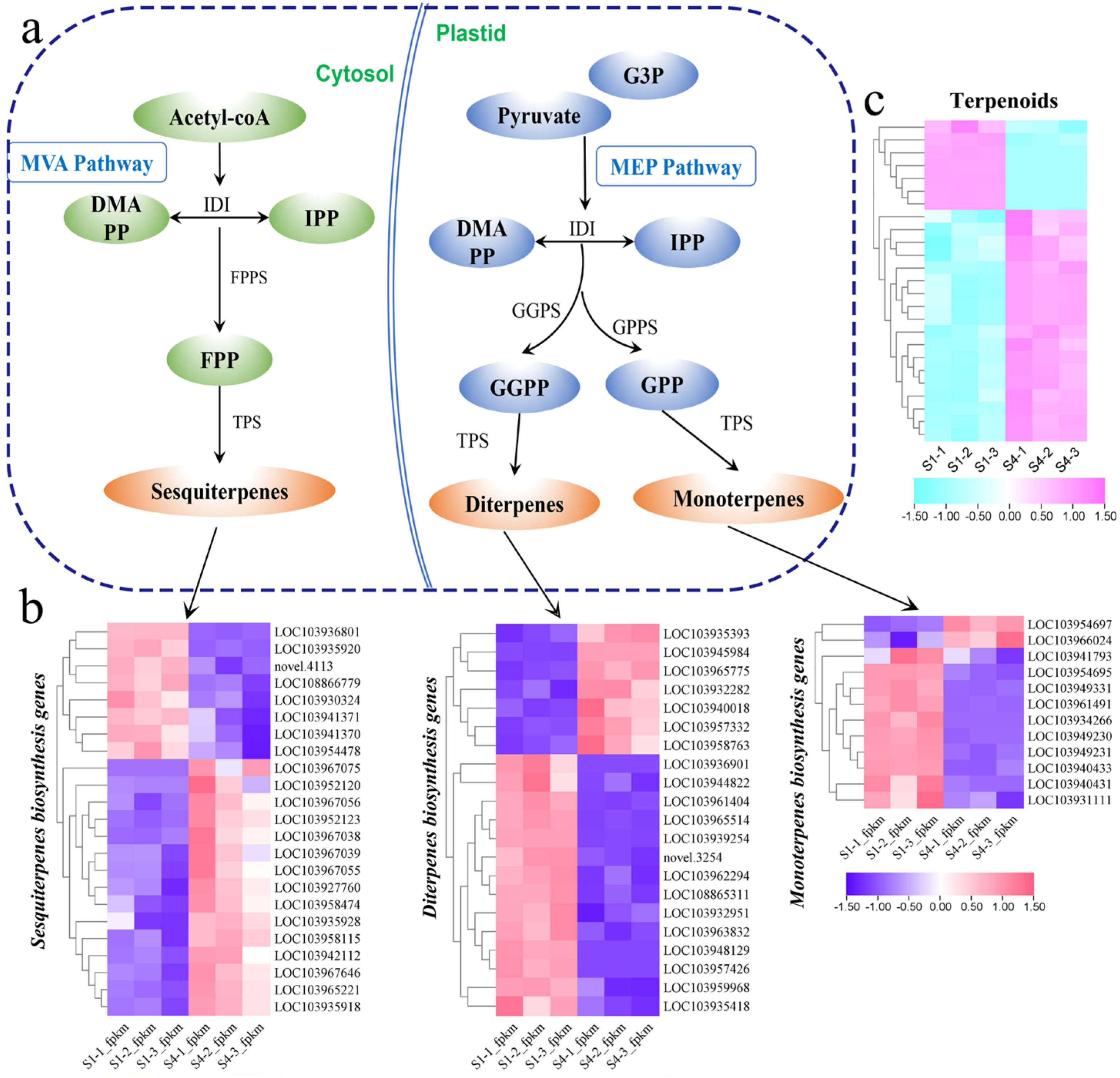 Horticulturae 09 00483 g004