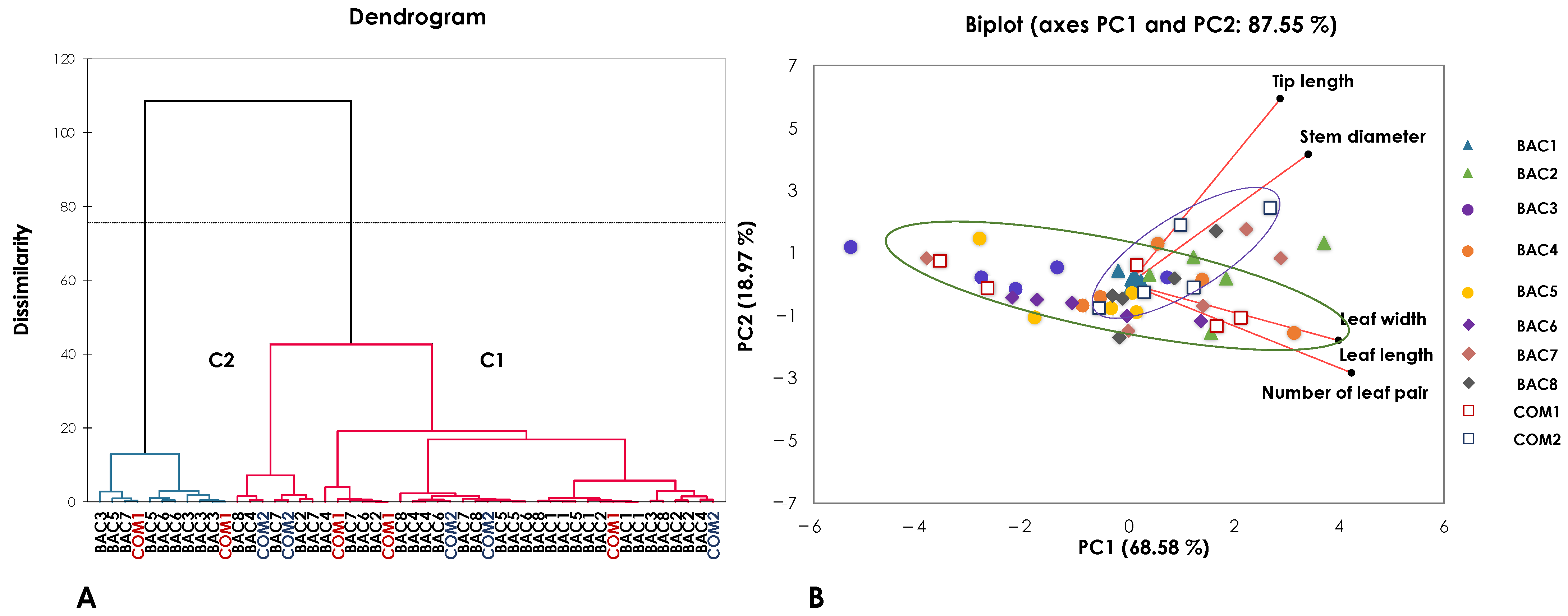 Horticulturae 09 00484 g001