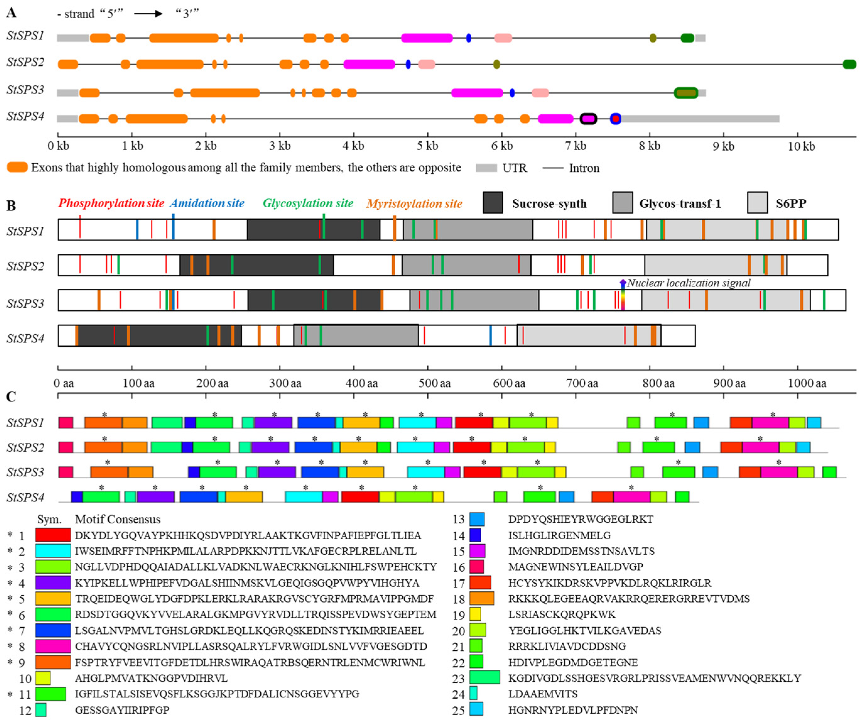 Horticulturae 09 00511 g001