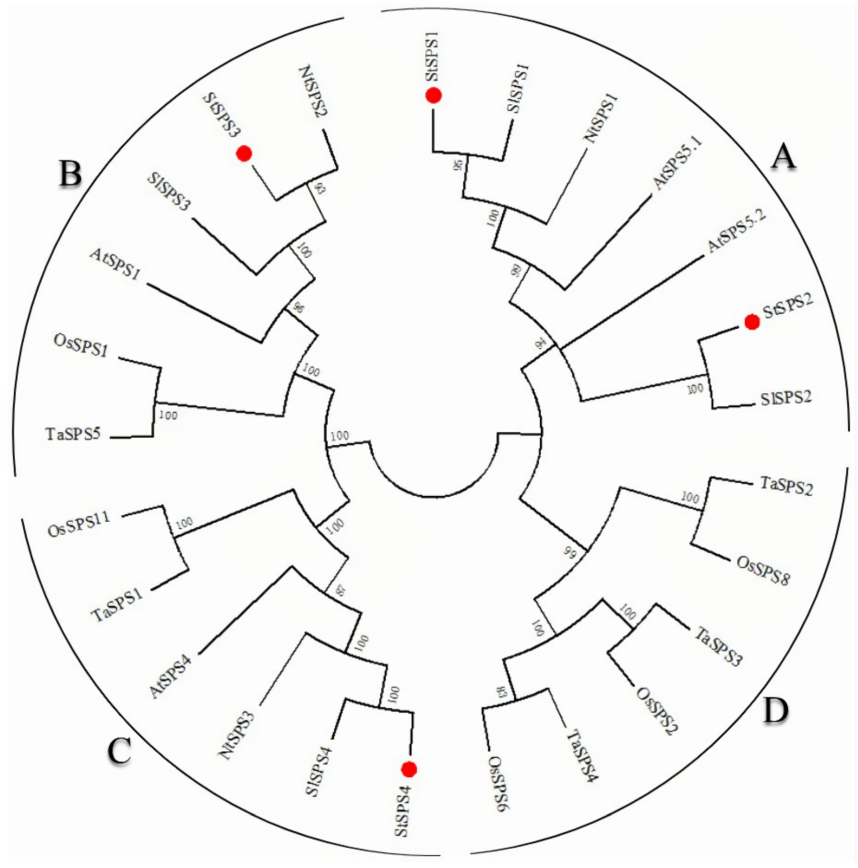 Horticulturae 09 00511 g002