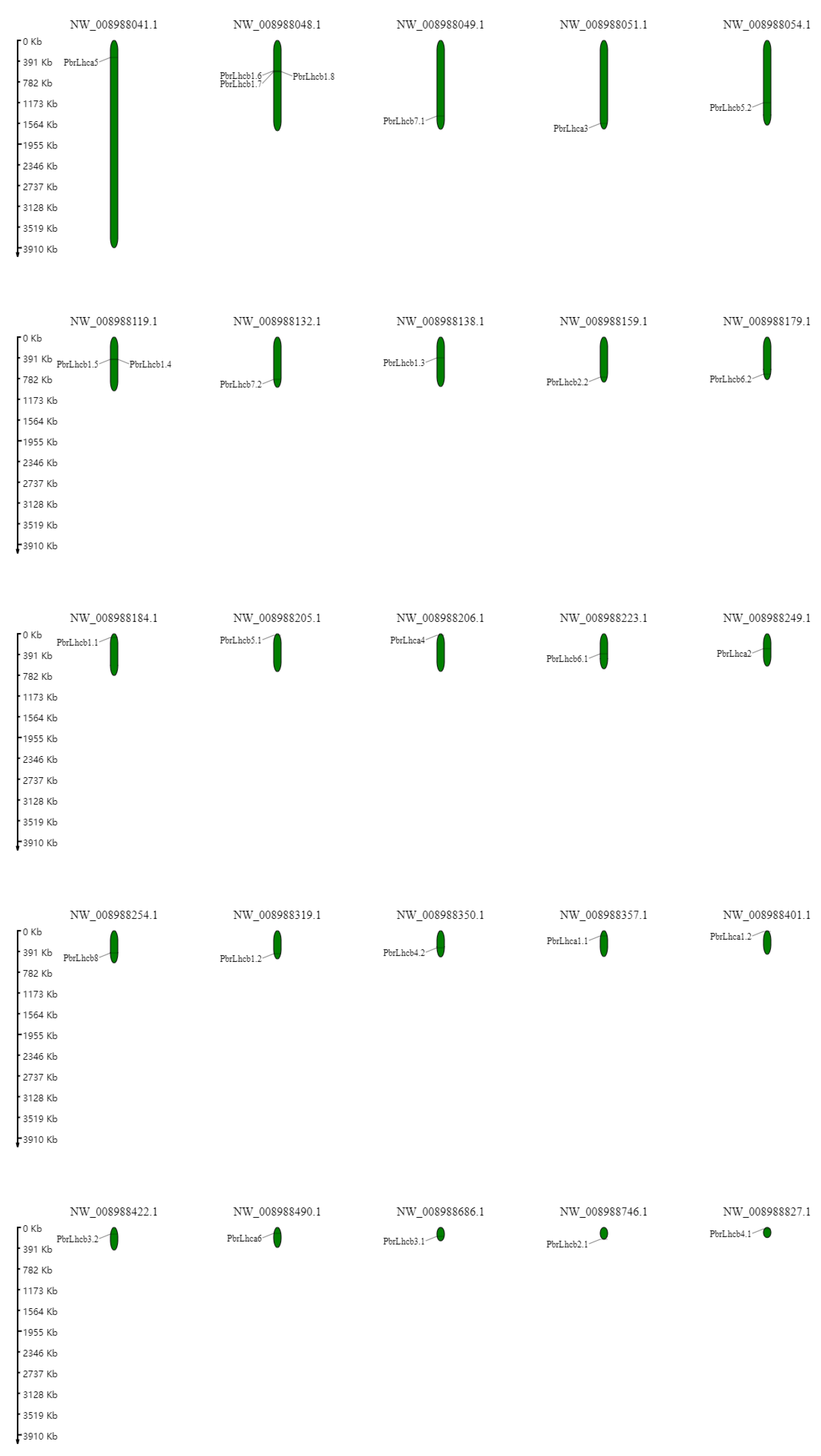 Horticulturae 09 00522 g001 Horticulturae 09 00522 g001
