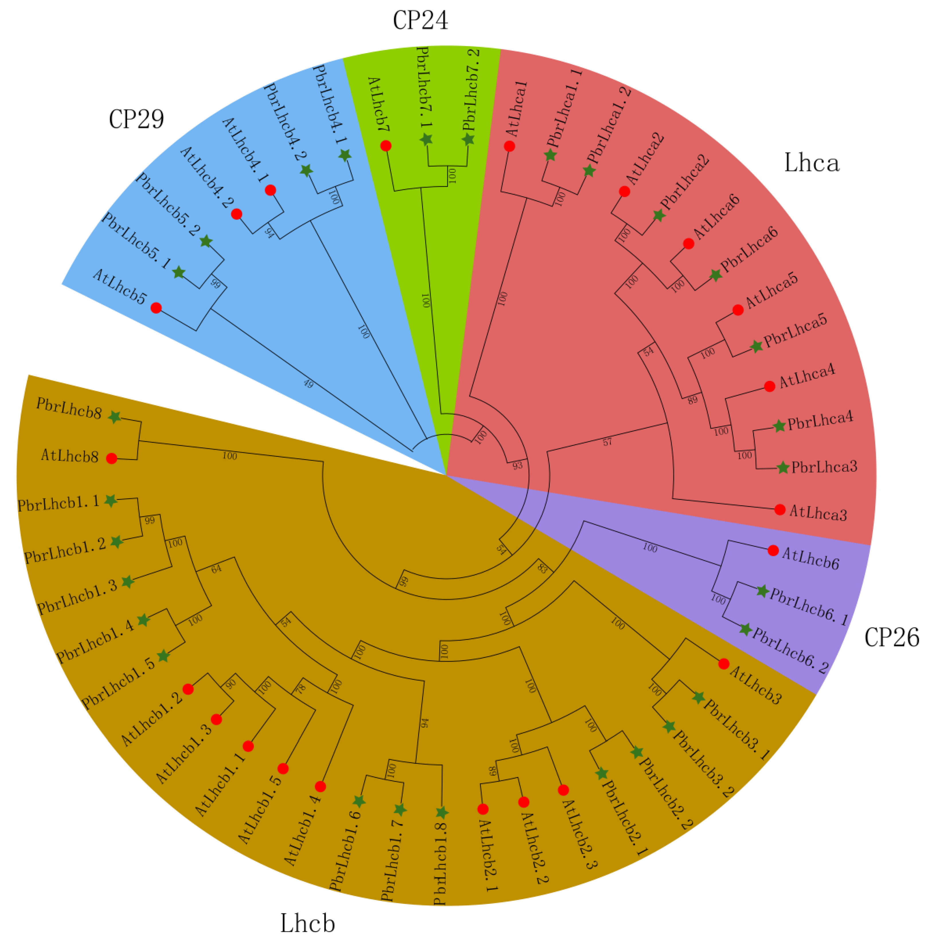 Horticulturae 09 00522 g002 Horticulturae 09 00522 g002