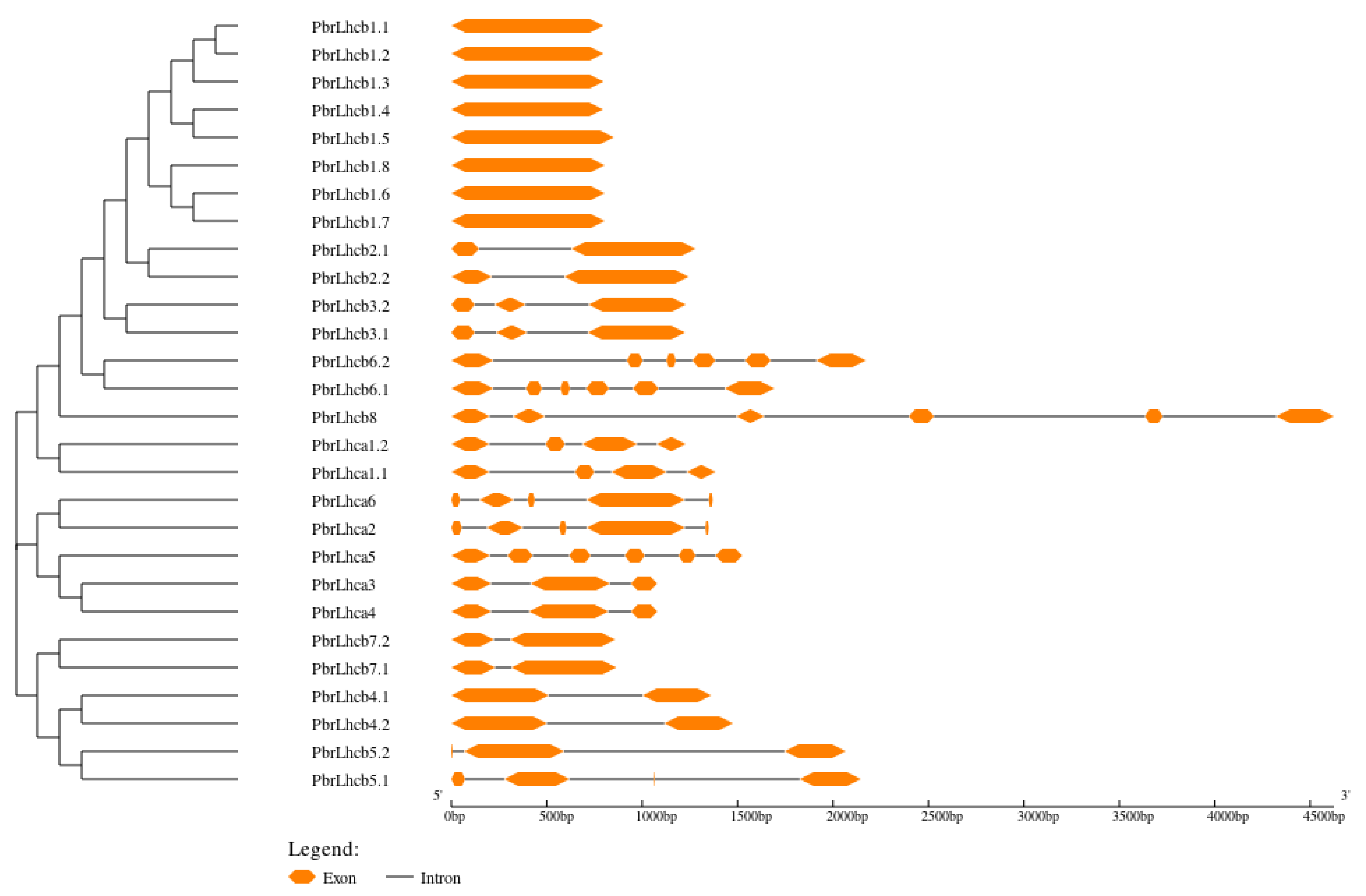 Horticulturae 09 00522 g003 Horticulturae 09 00522 g003