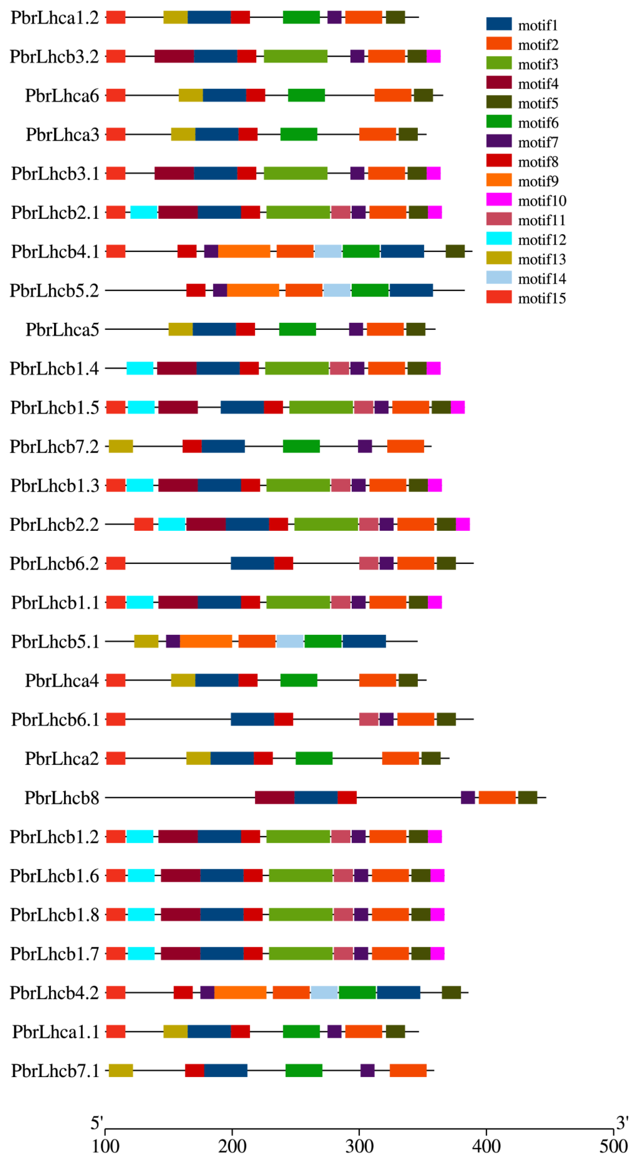 Horticulturae 09 00522 g004 Horticulturae 09 00522 g004