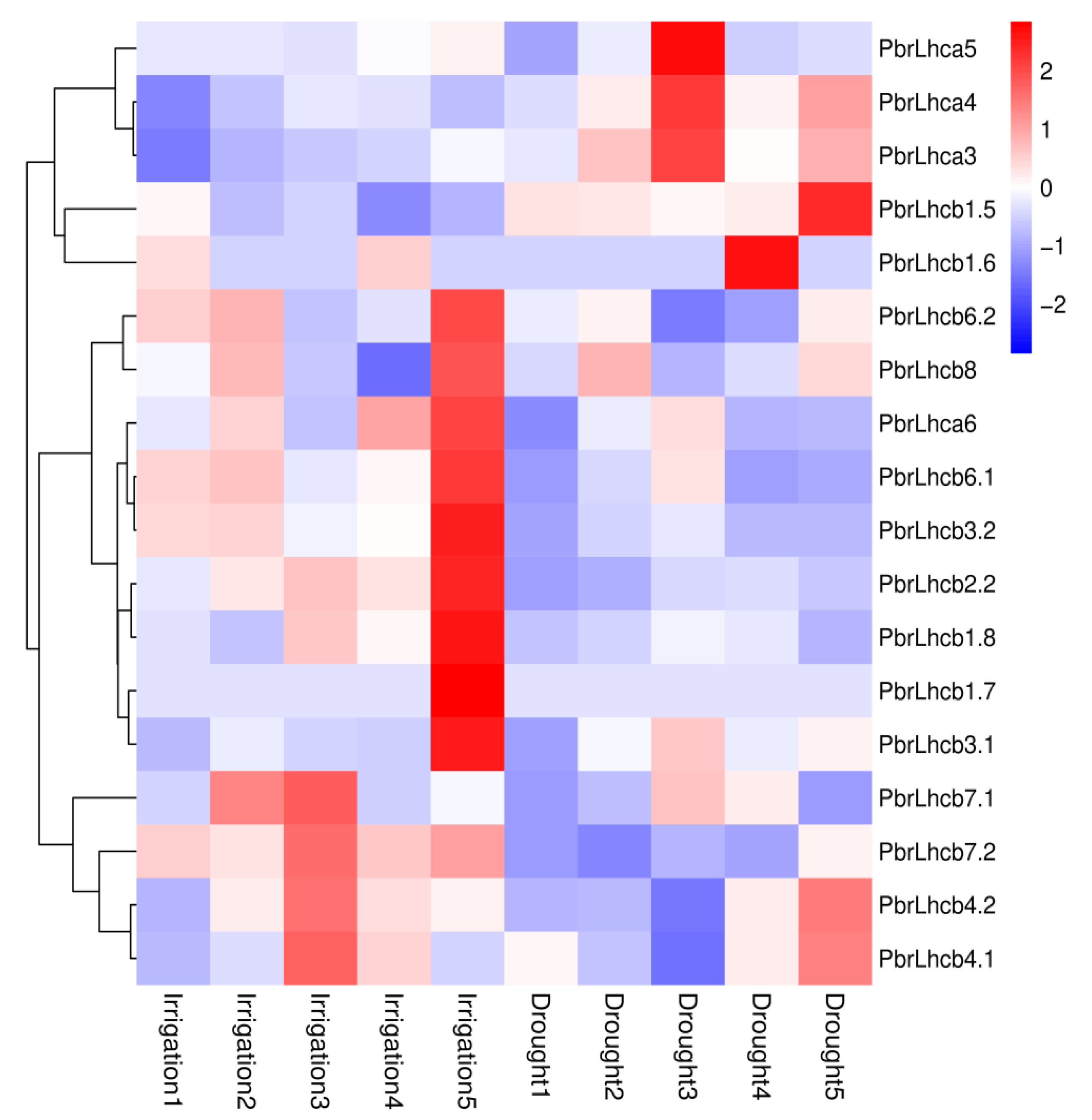 Horticulturae 09 00522 g006 Horticulturae 09 00522 g006