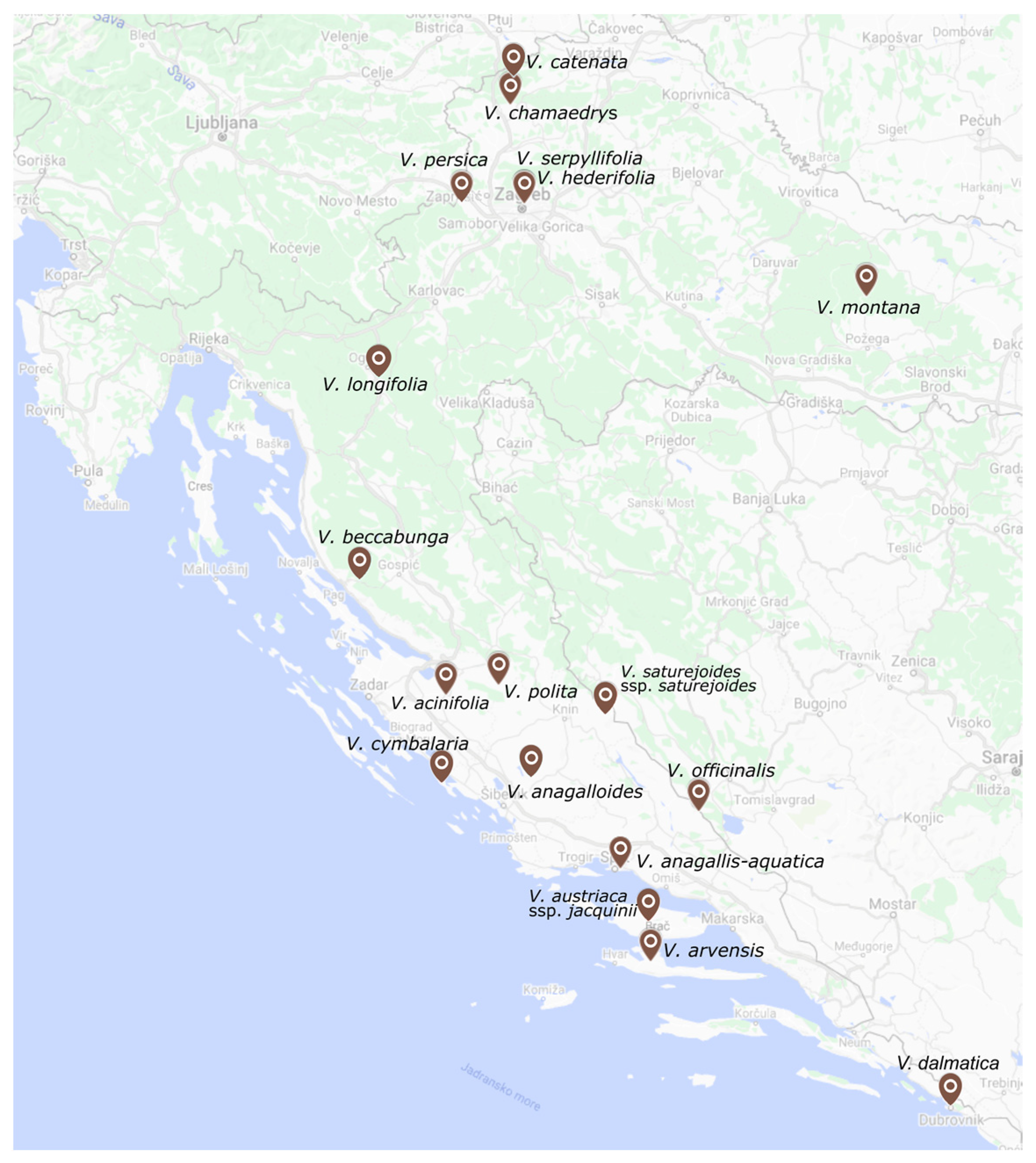 Horticulturae 09 00524 g001