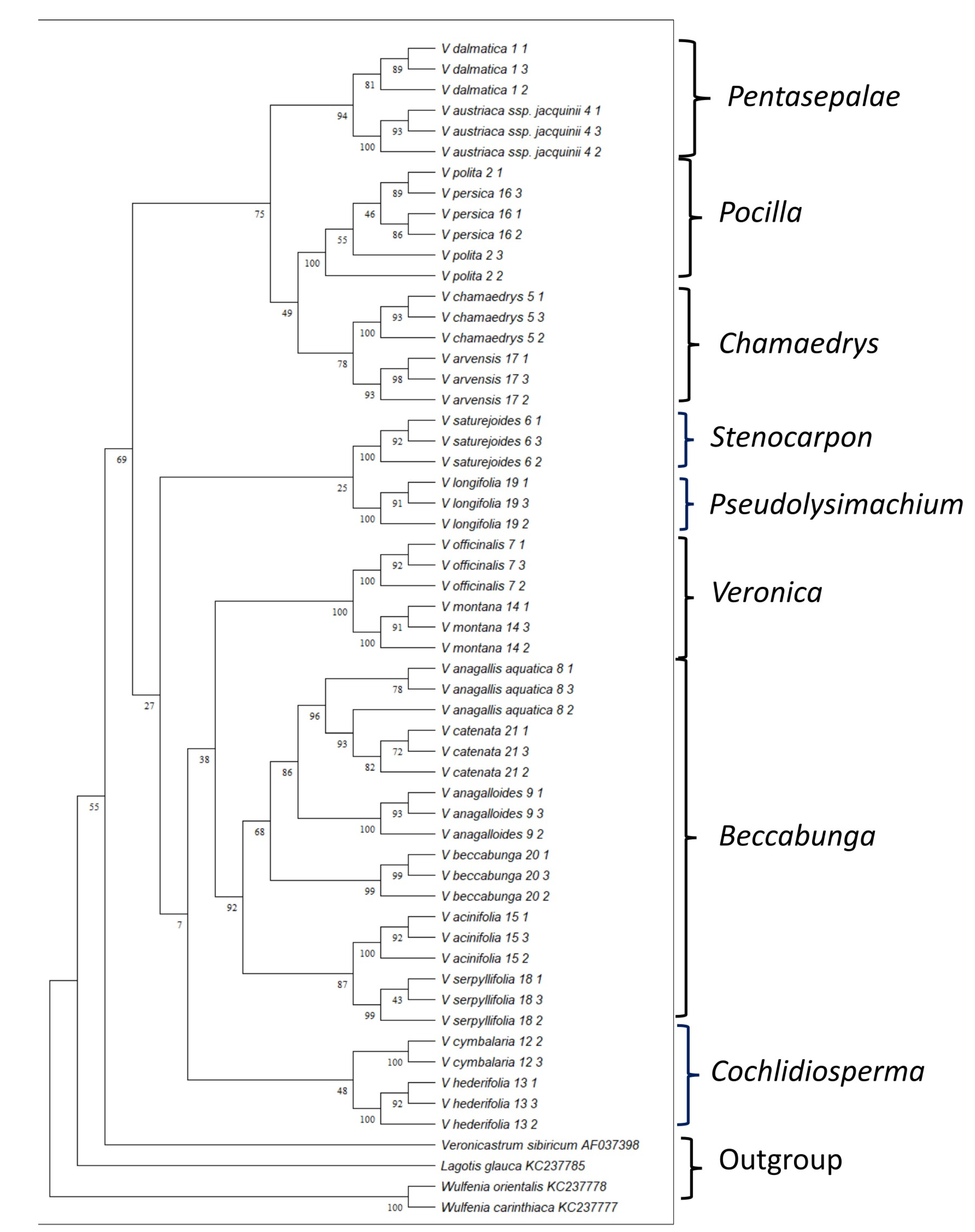Horticulturae 09 00524 g002