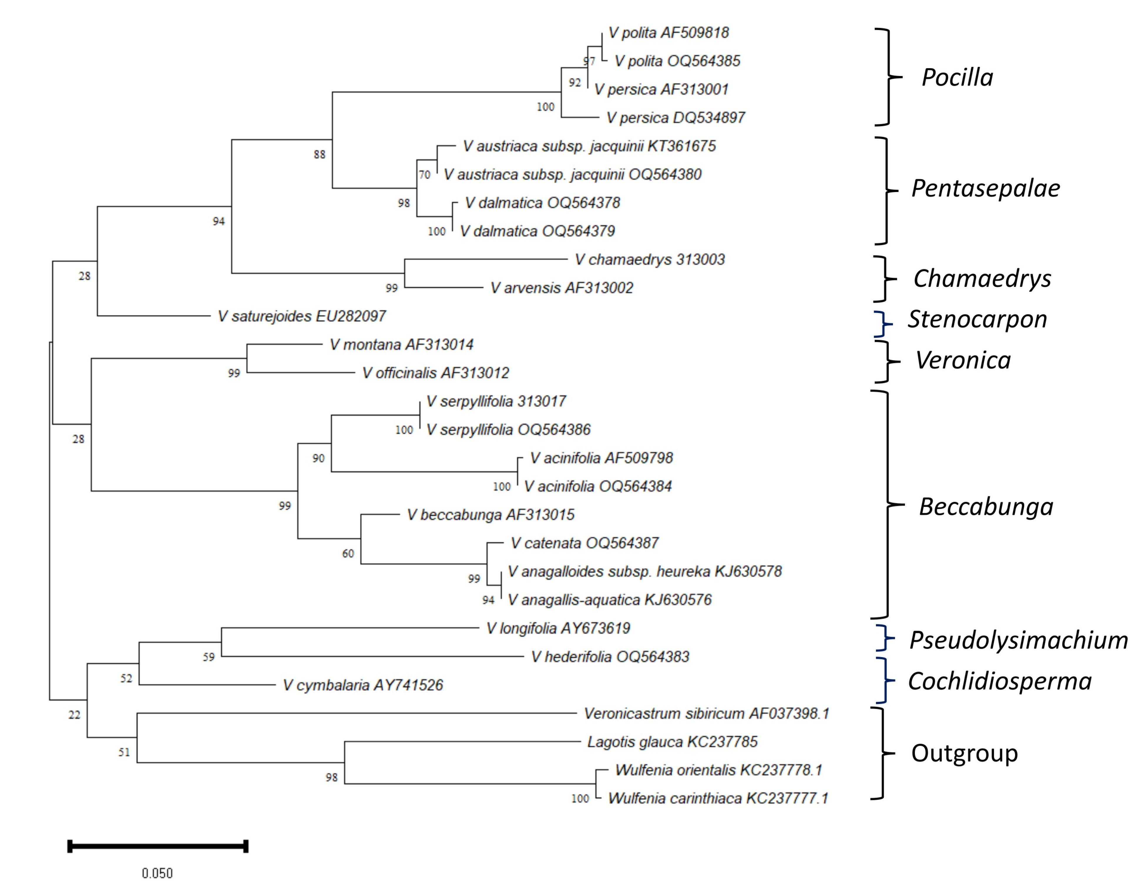 Horticulturae 09 00524 g003