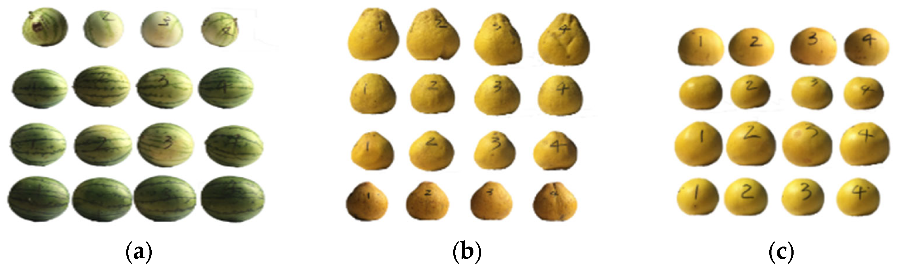 Horticulturae 09 00537 g005 Horticulturae 09 00537 g005