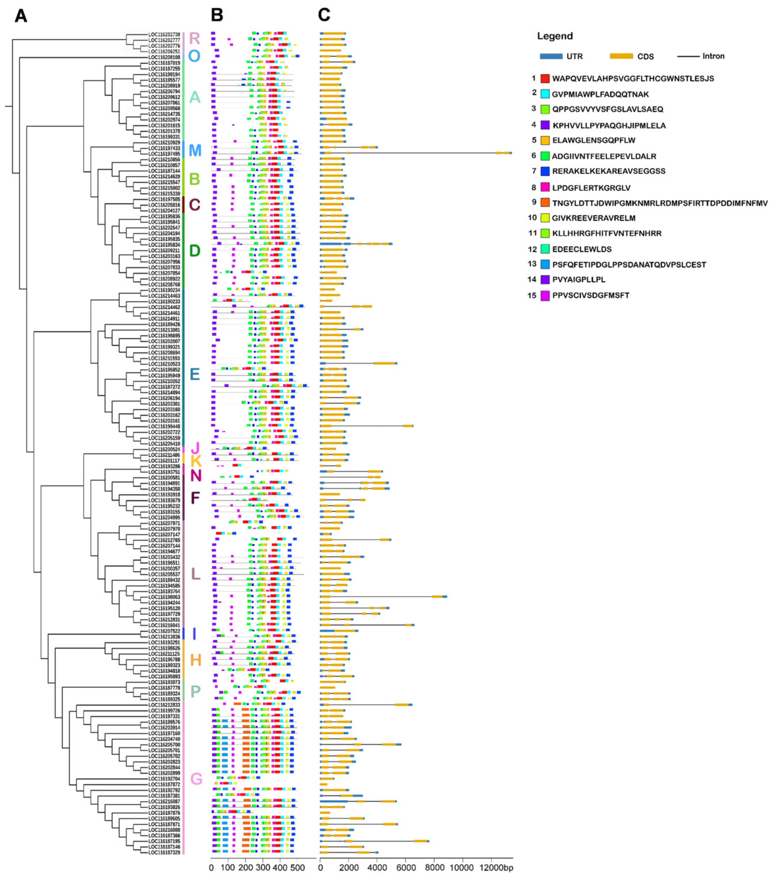 Horticulturae 09 00540 g003