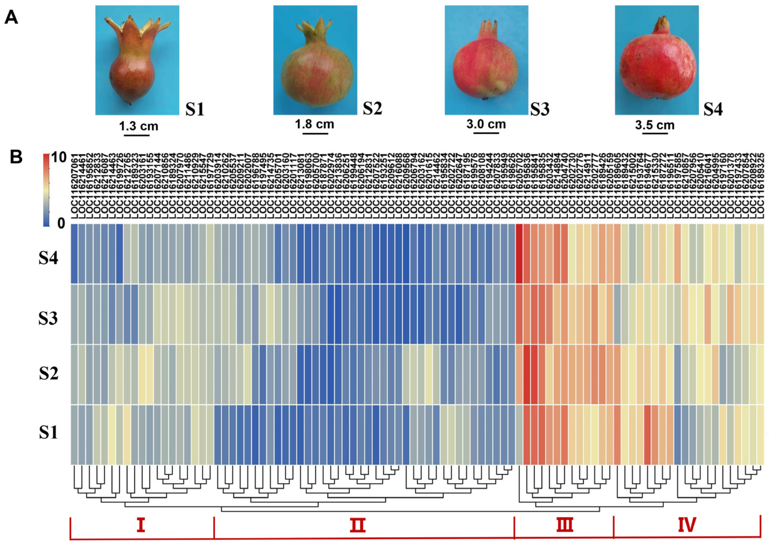 Horticulturae 09 00540 g004
