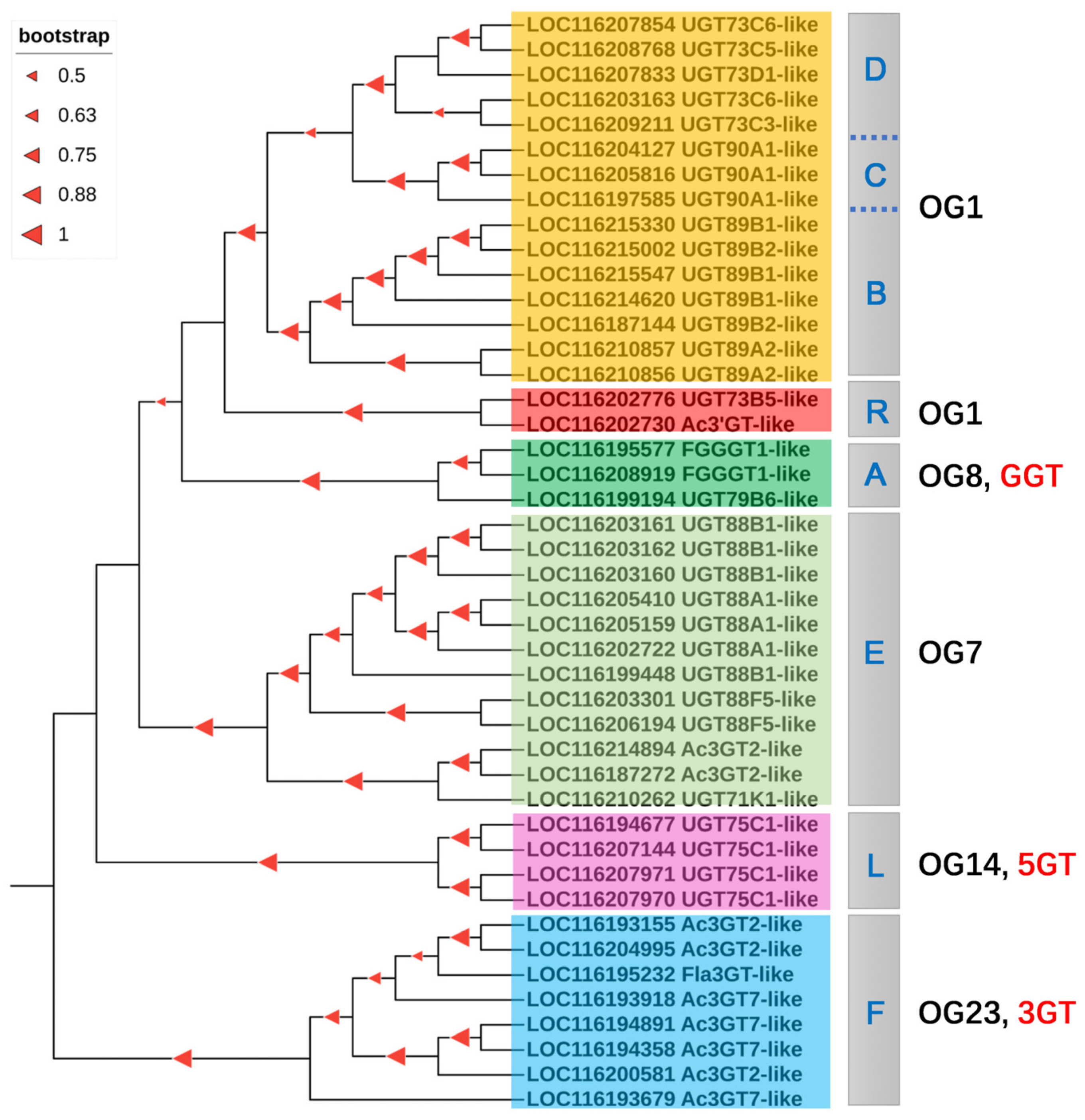 Horticulturae 09 00540 g006