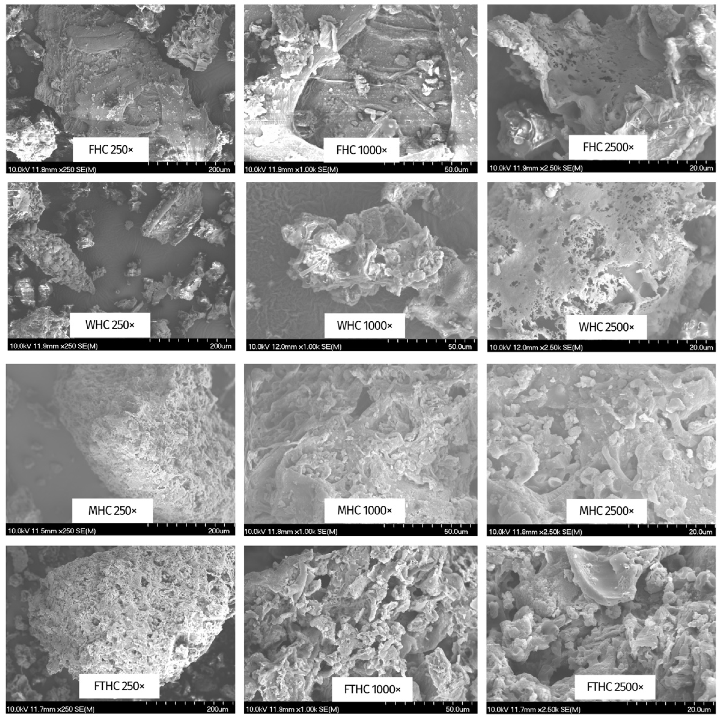 Horticulturae 09 00545 g002