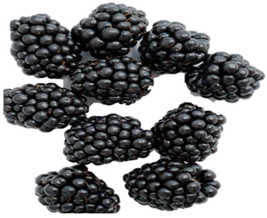 Horticulturae 09 00556 i001