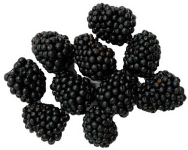 Horticulturae 09 00556 i002