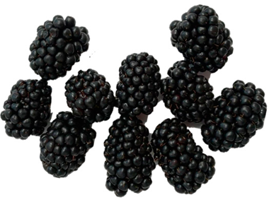 Horticulturae 09 00556 i003