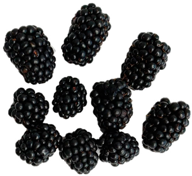 Horticulturae 09 00556 i004