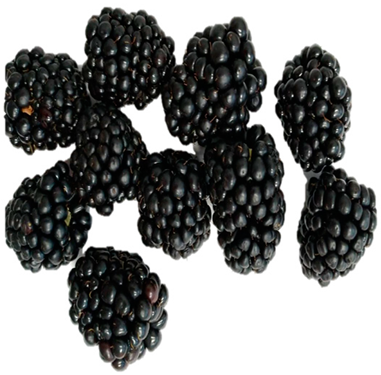 Horticulturae 09 00556 i005