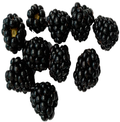 Horticulturae 09 00556 i007