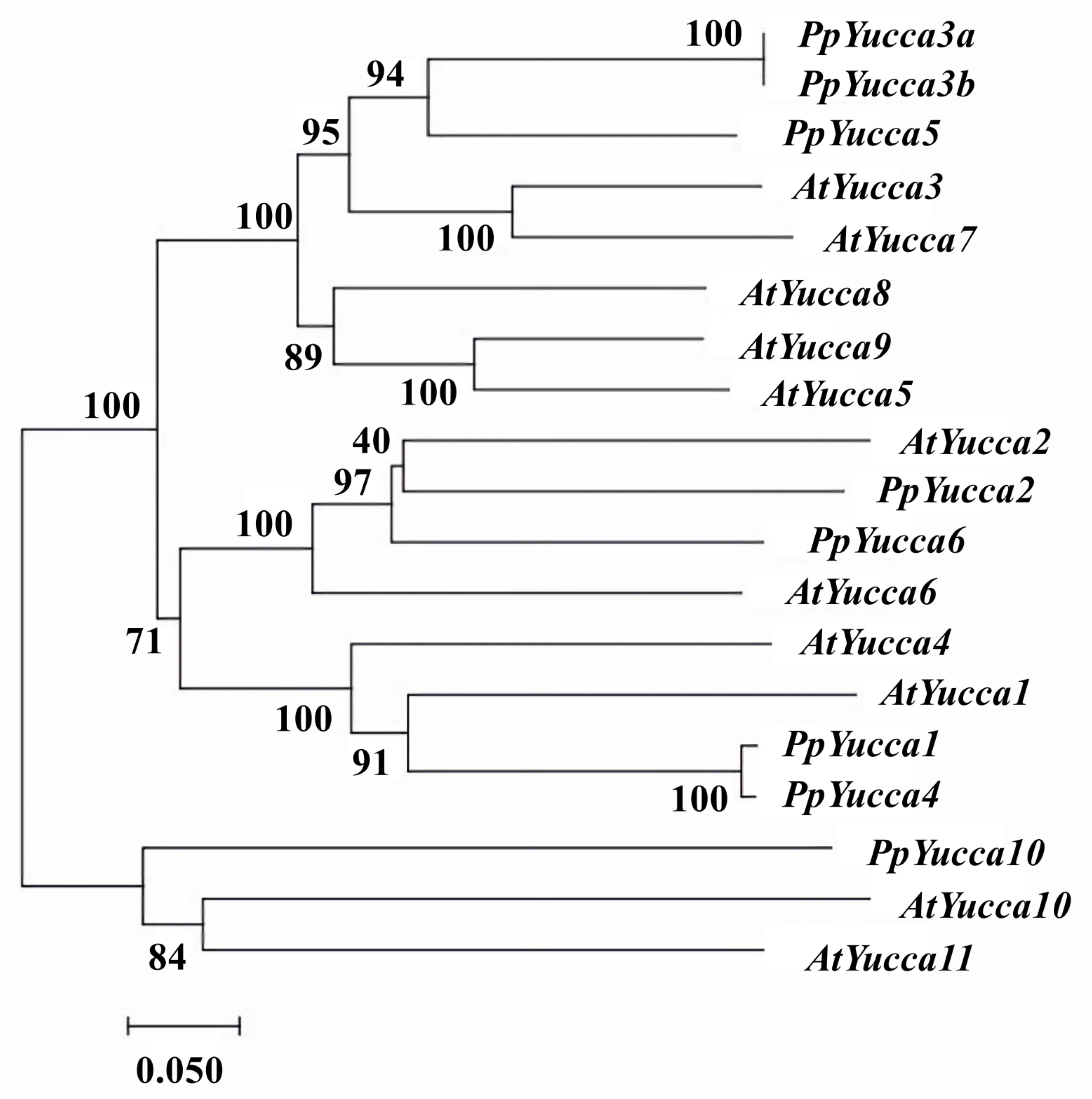 Horticulturae 09 00576 g007