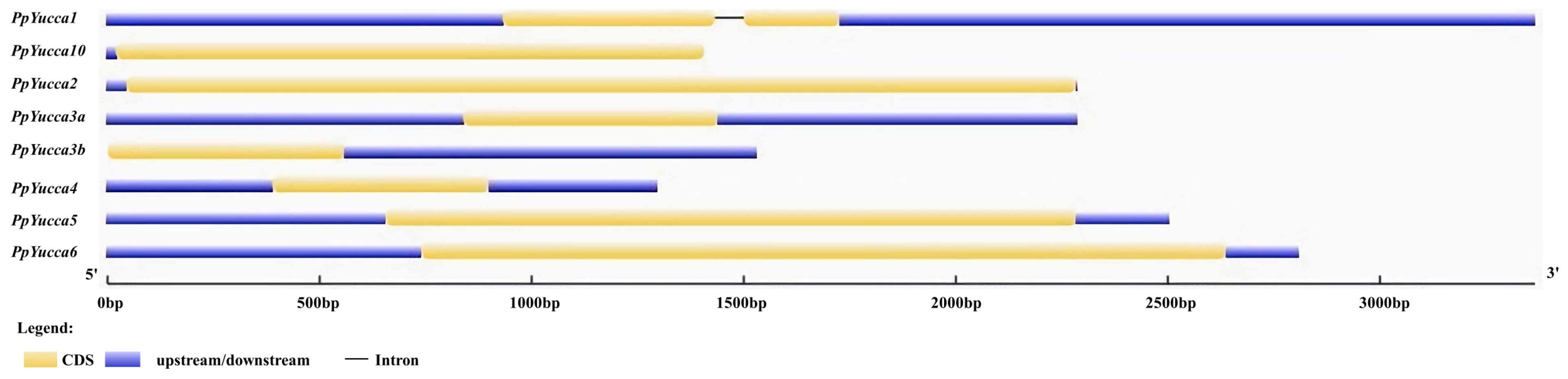 Horticulturae 09 00576 g008