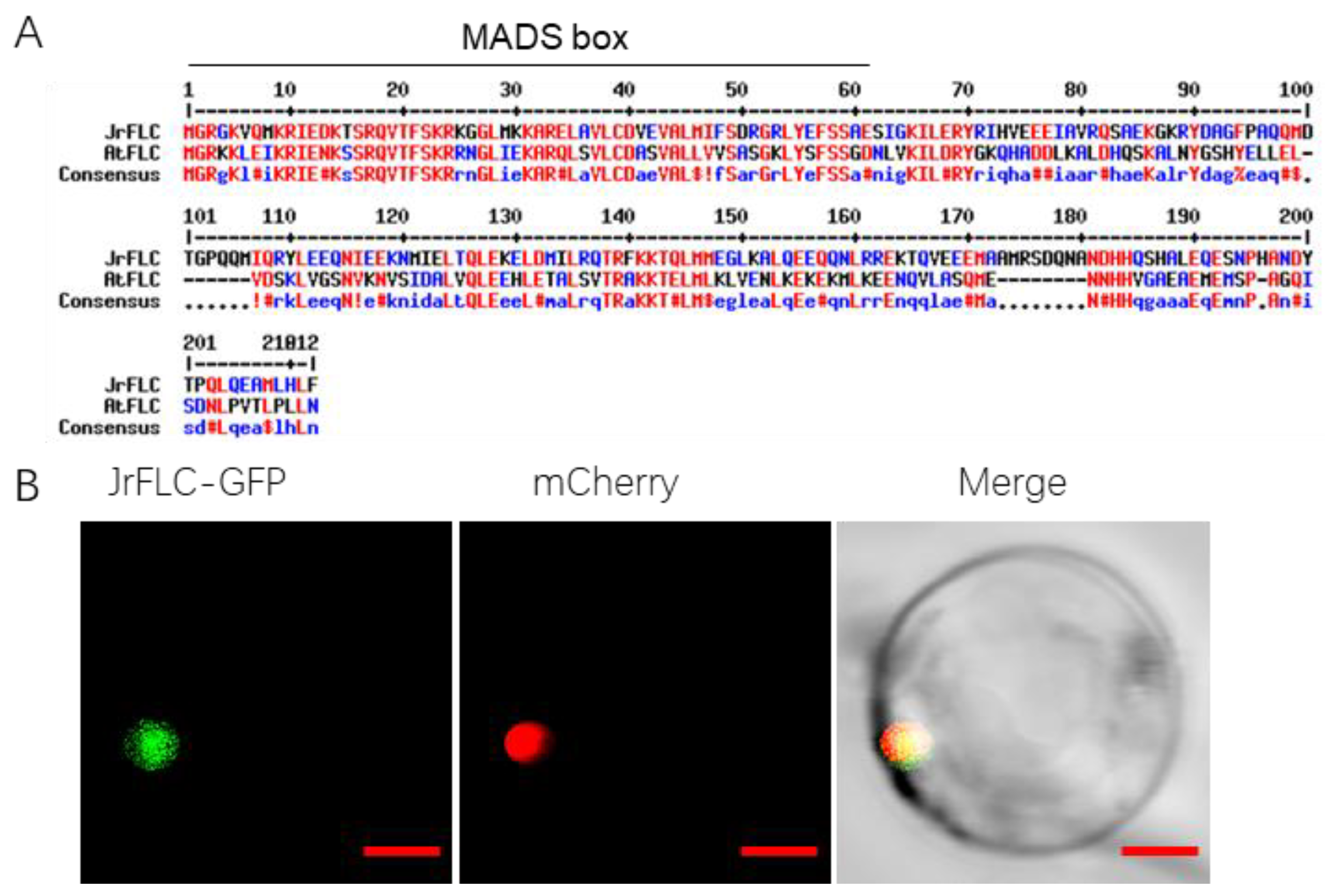 Horticulturae 09 00582 g001