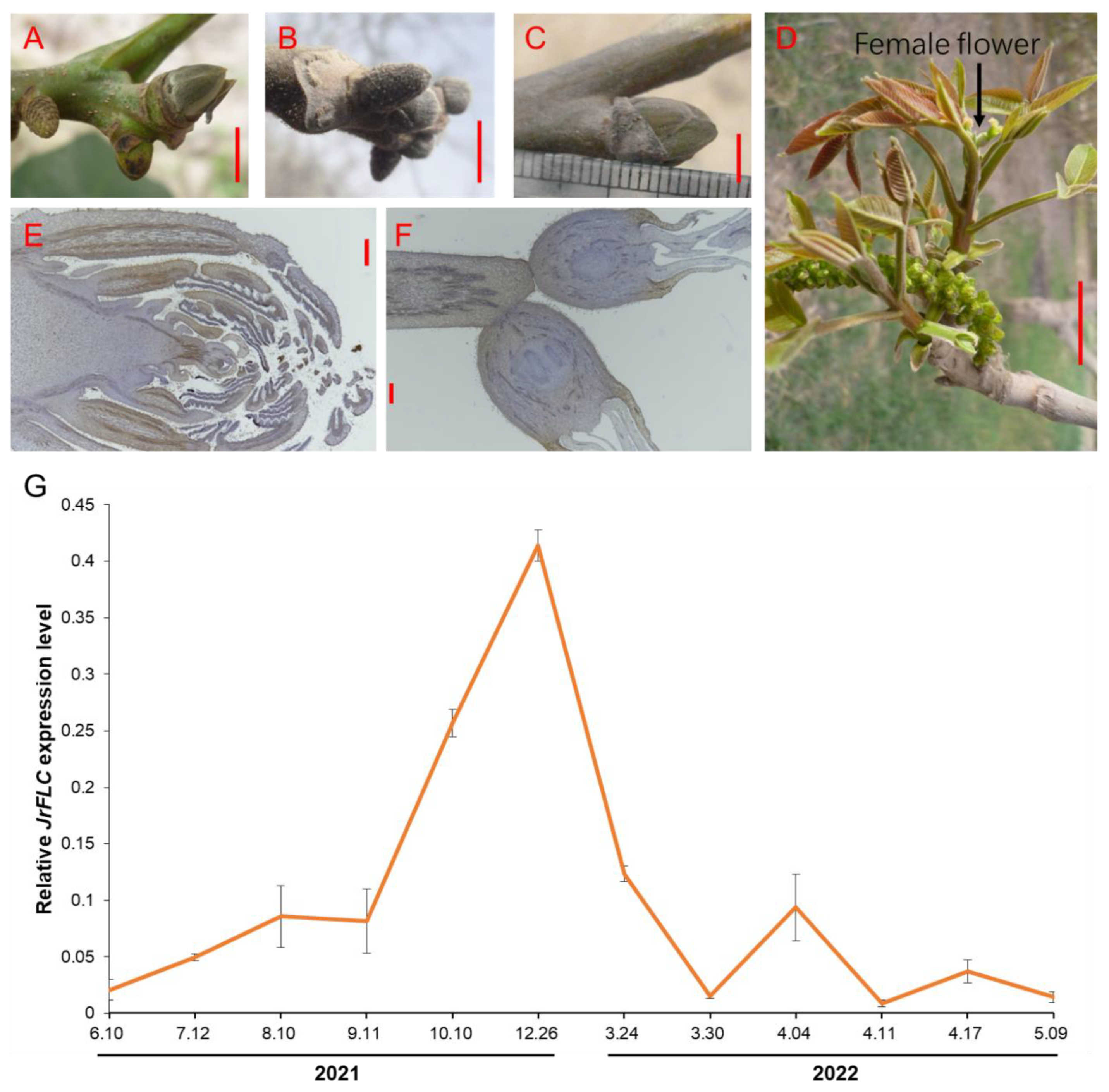 Horticulturae 09 00582 g002