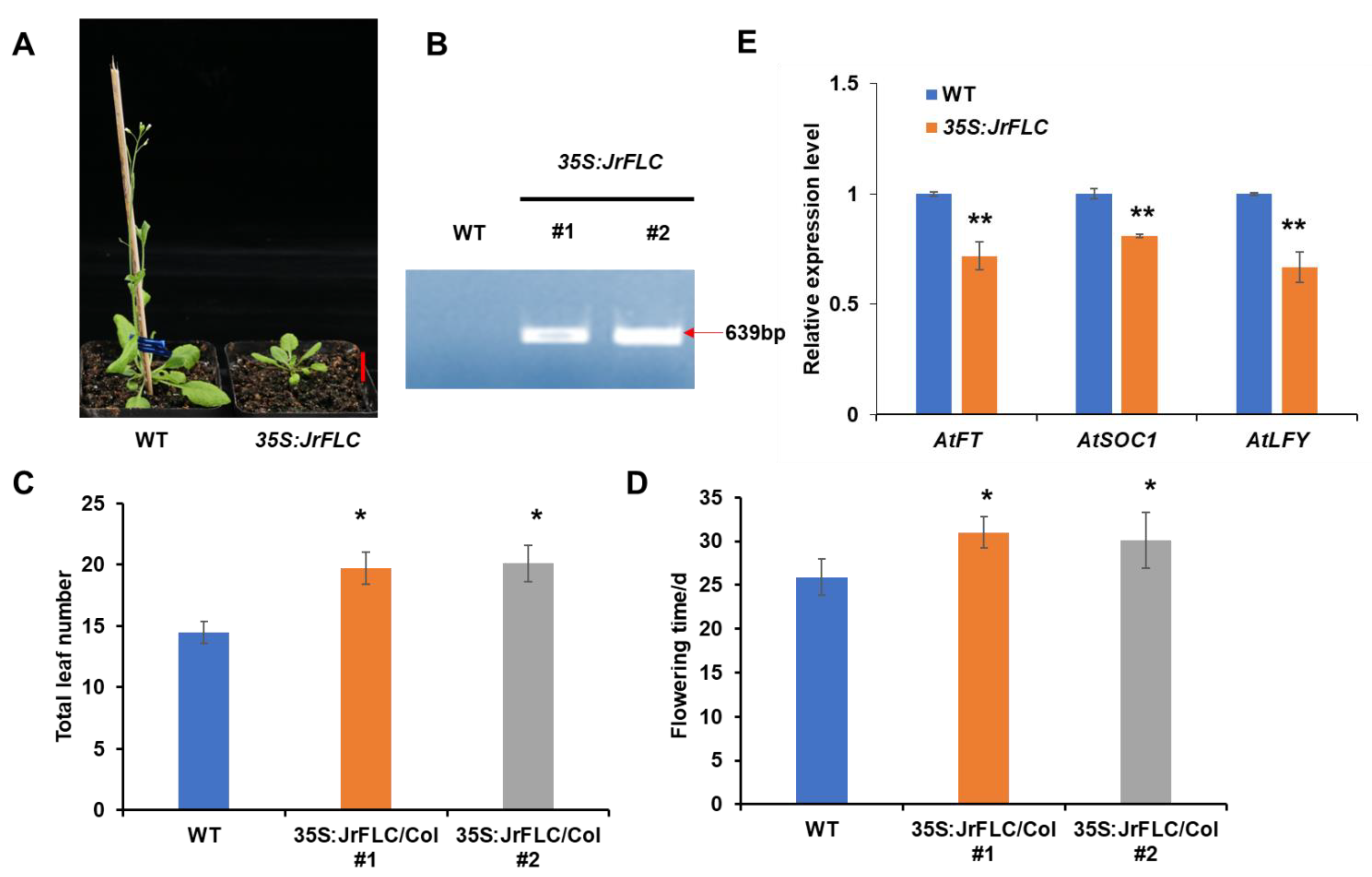 Horticulturae 09 00582 g003