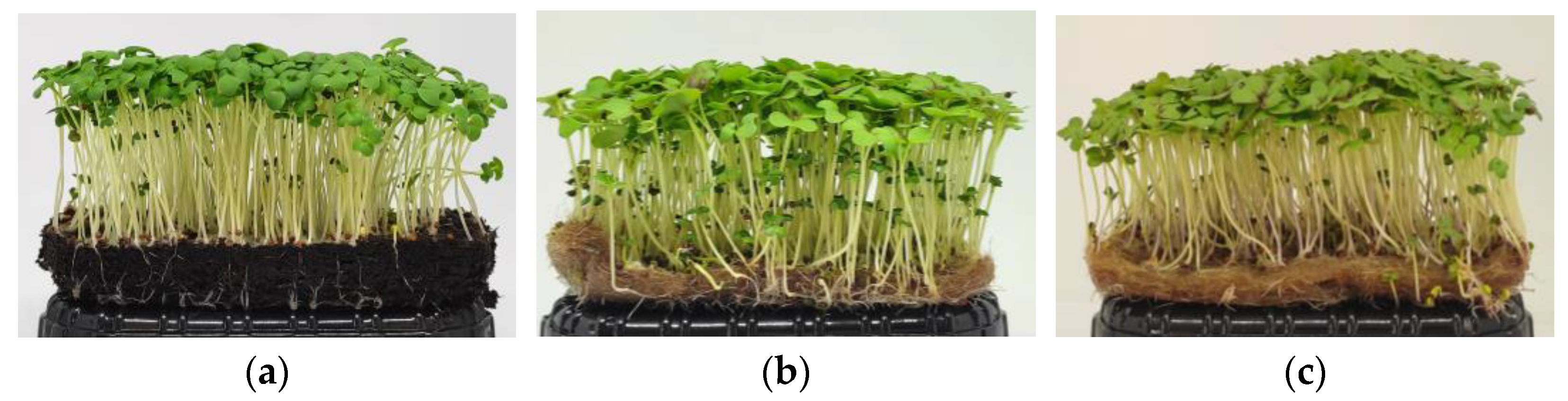 Horticulturae 09 00598 g004b Horticulturae 09 00598 g004b