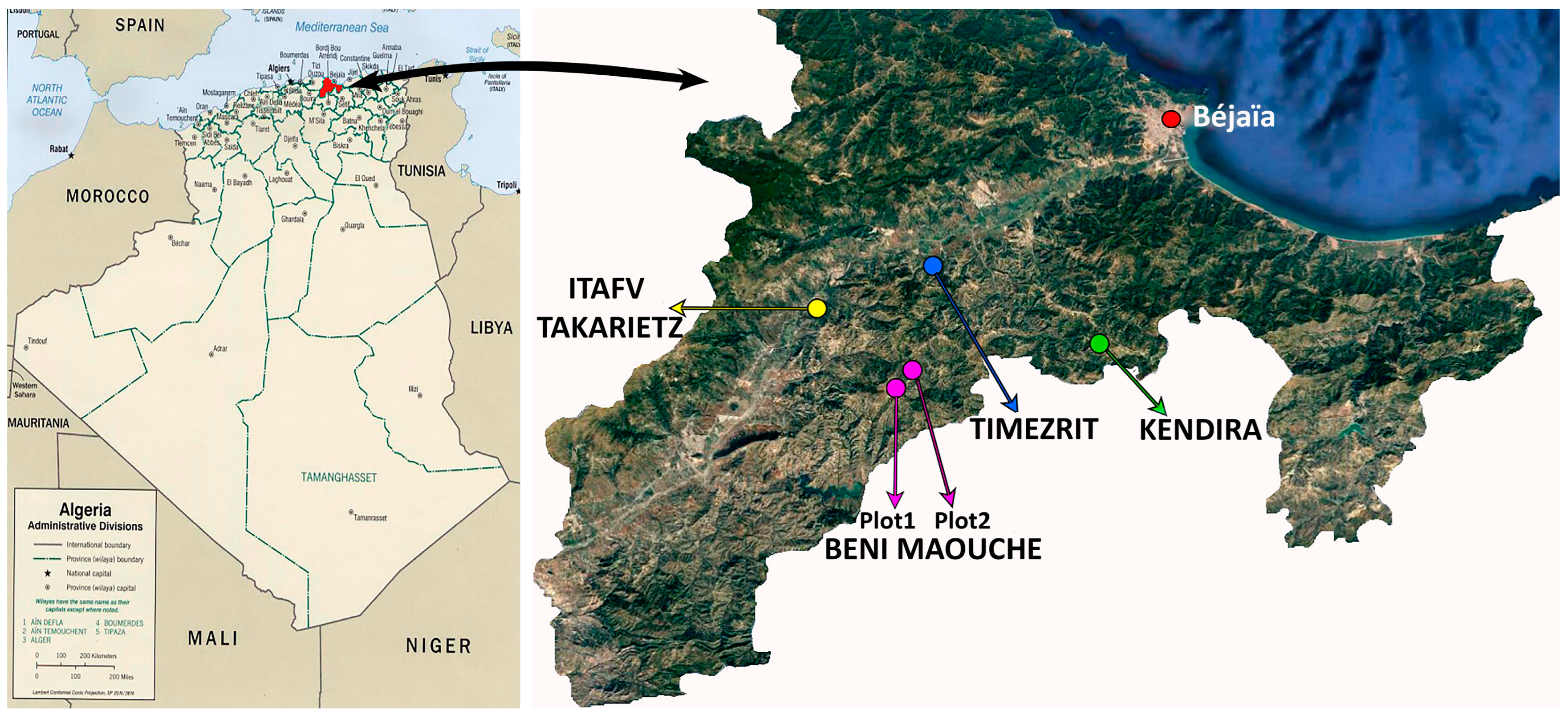 Horticulturae 09 00612 g001