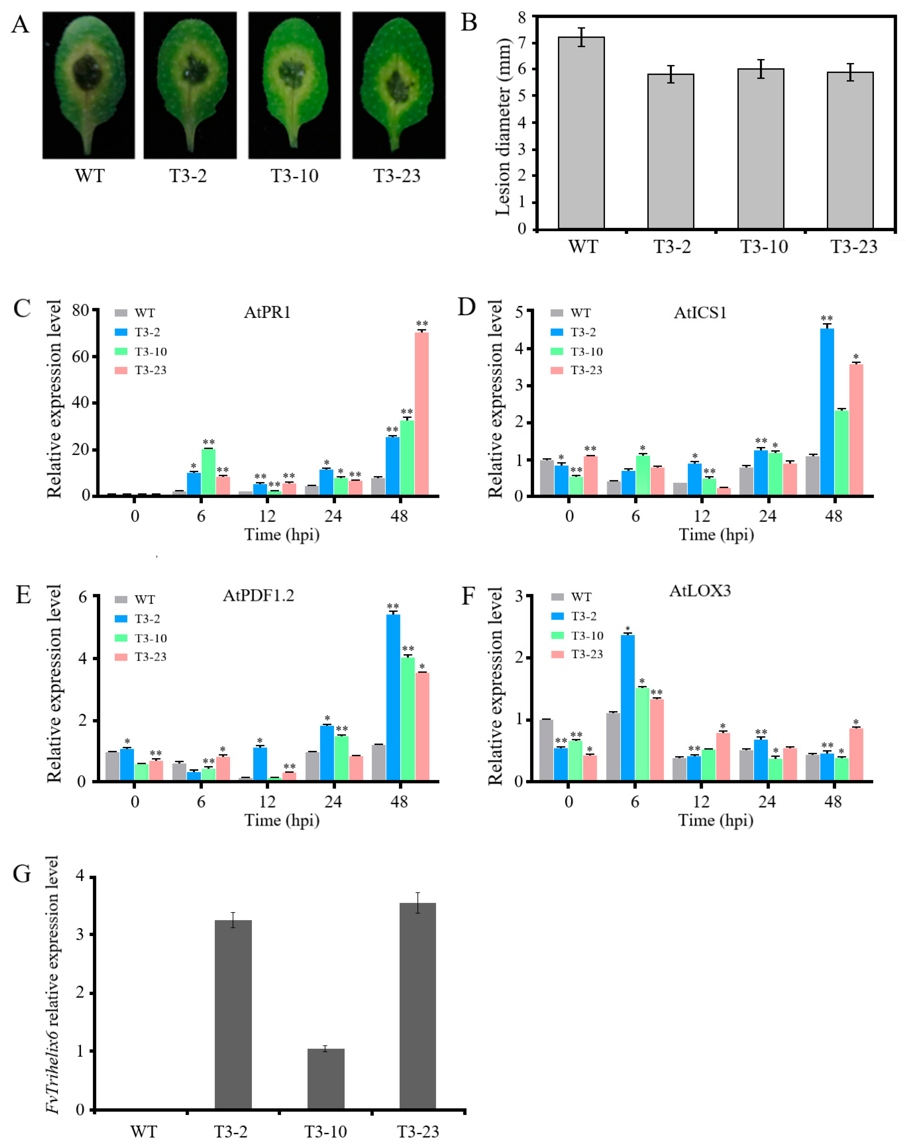 Horticulturae 09 00633 g006