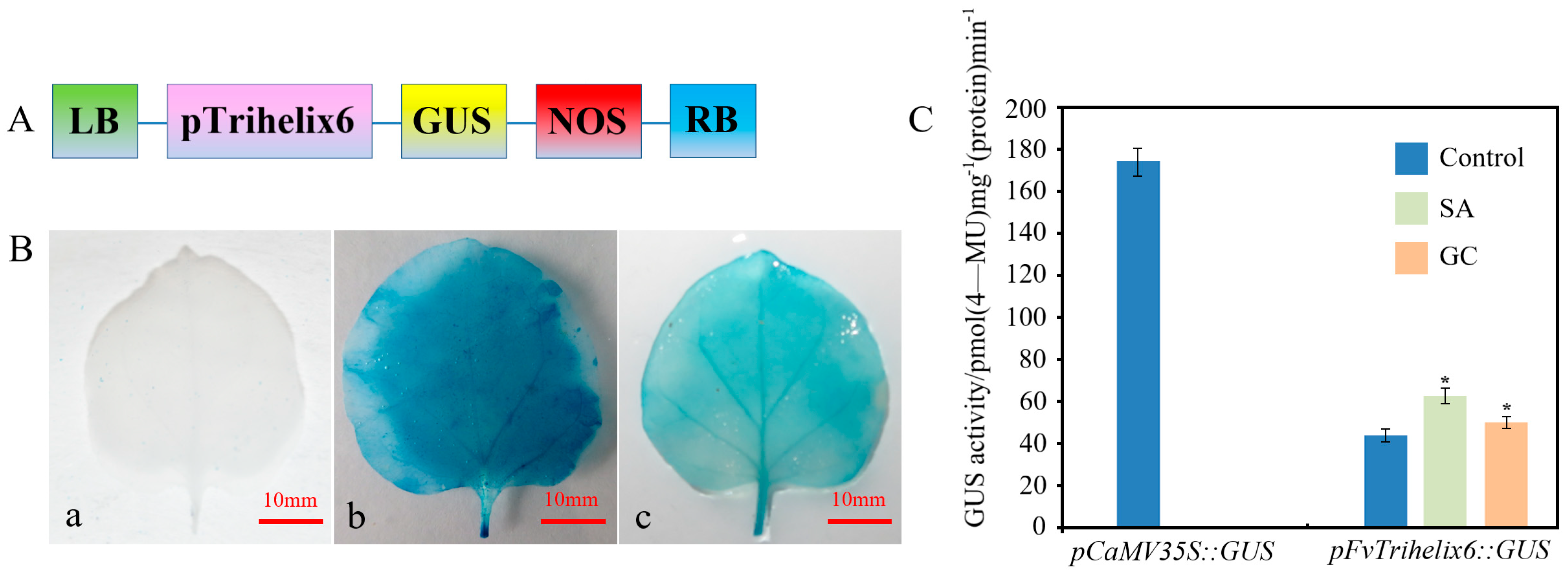 Horticulturae 09 00633 g008