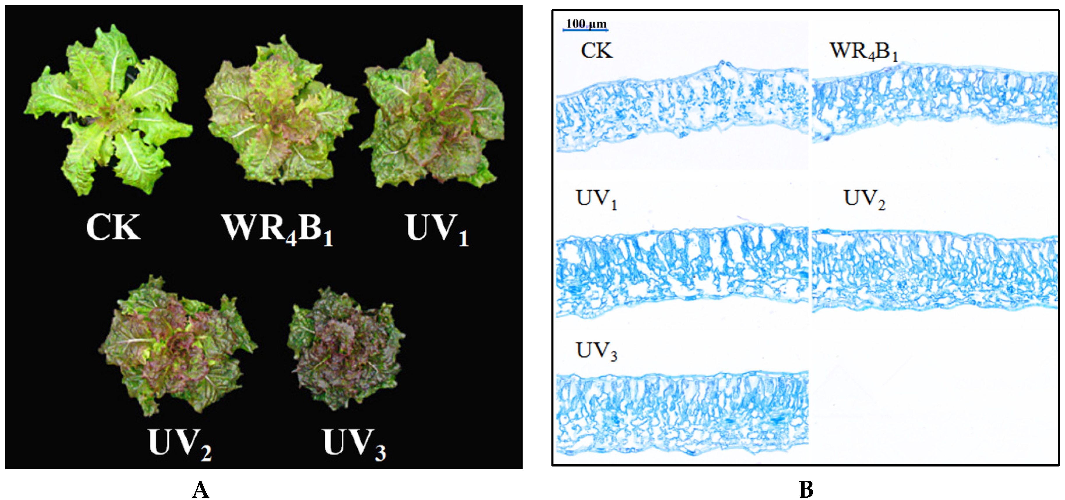 Horticulturae 09 00634 g001 Horticulturae 09 00634 g001