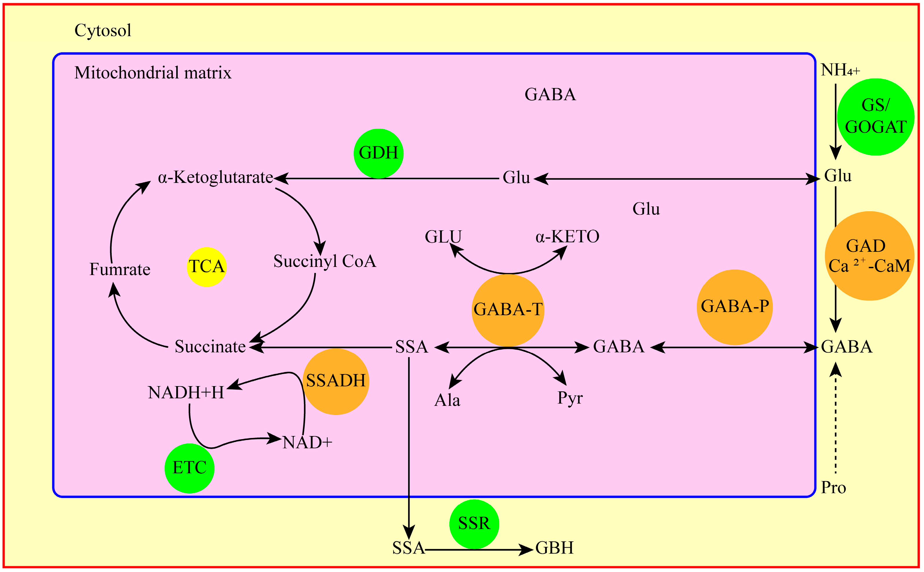 Horticulturae 09 00647 g001 Horticulturae 09 00647 g001