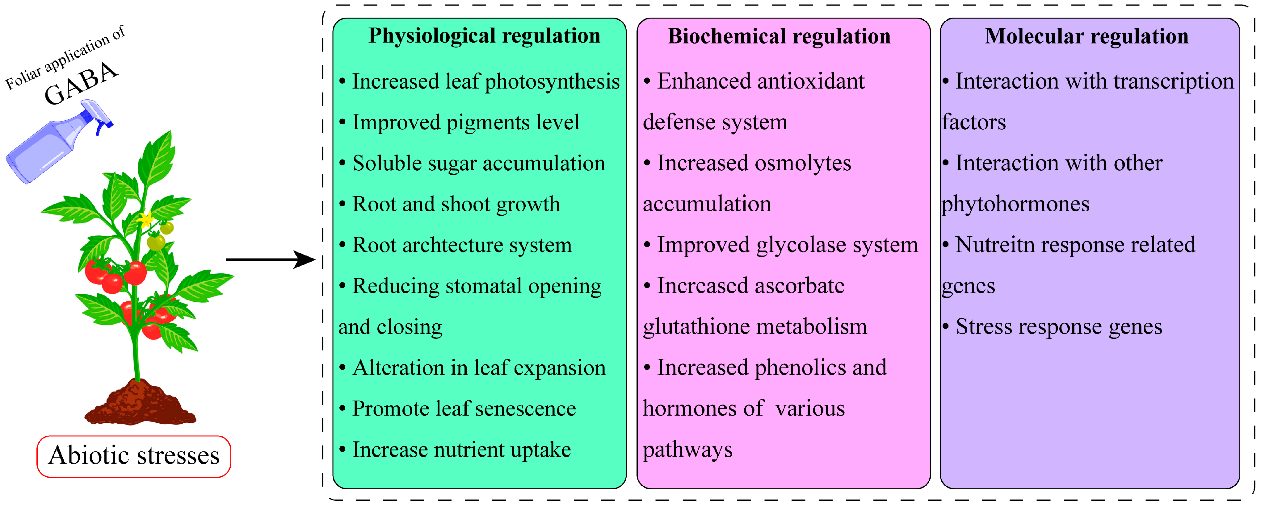 Horticulturae 09 00647 g003 Horticulturae 09 00647 g003