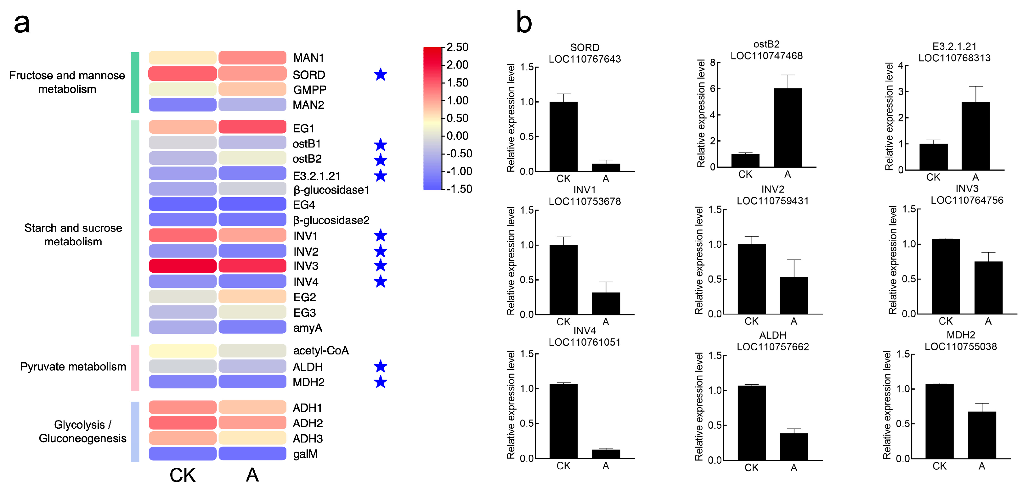 Horticulturae 09 00654 g010 Horticulturae 09 00654 g010