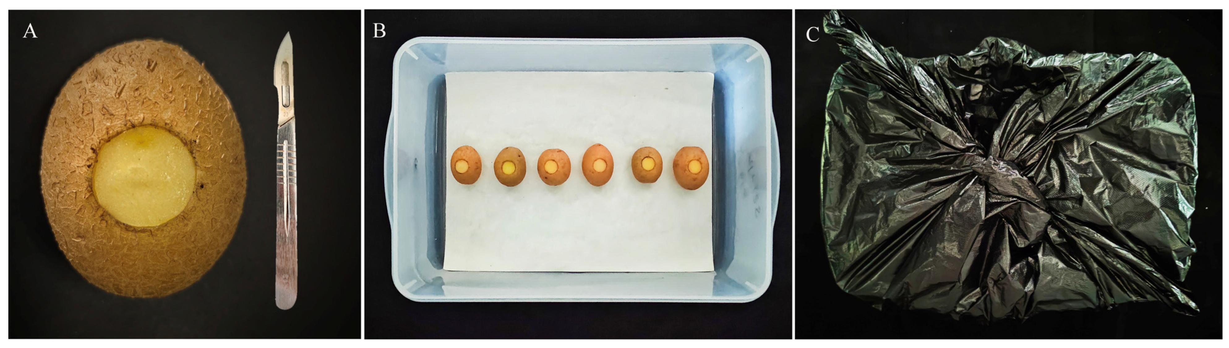 Horticulturae 09 00663 g001 Horticulturae 09 00663 g001