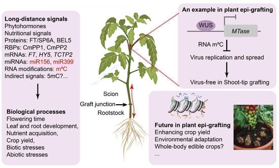 Horticulturae 09 00672 g002