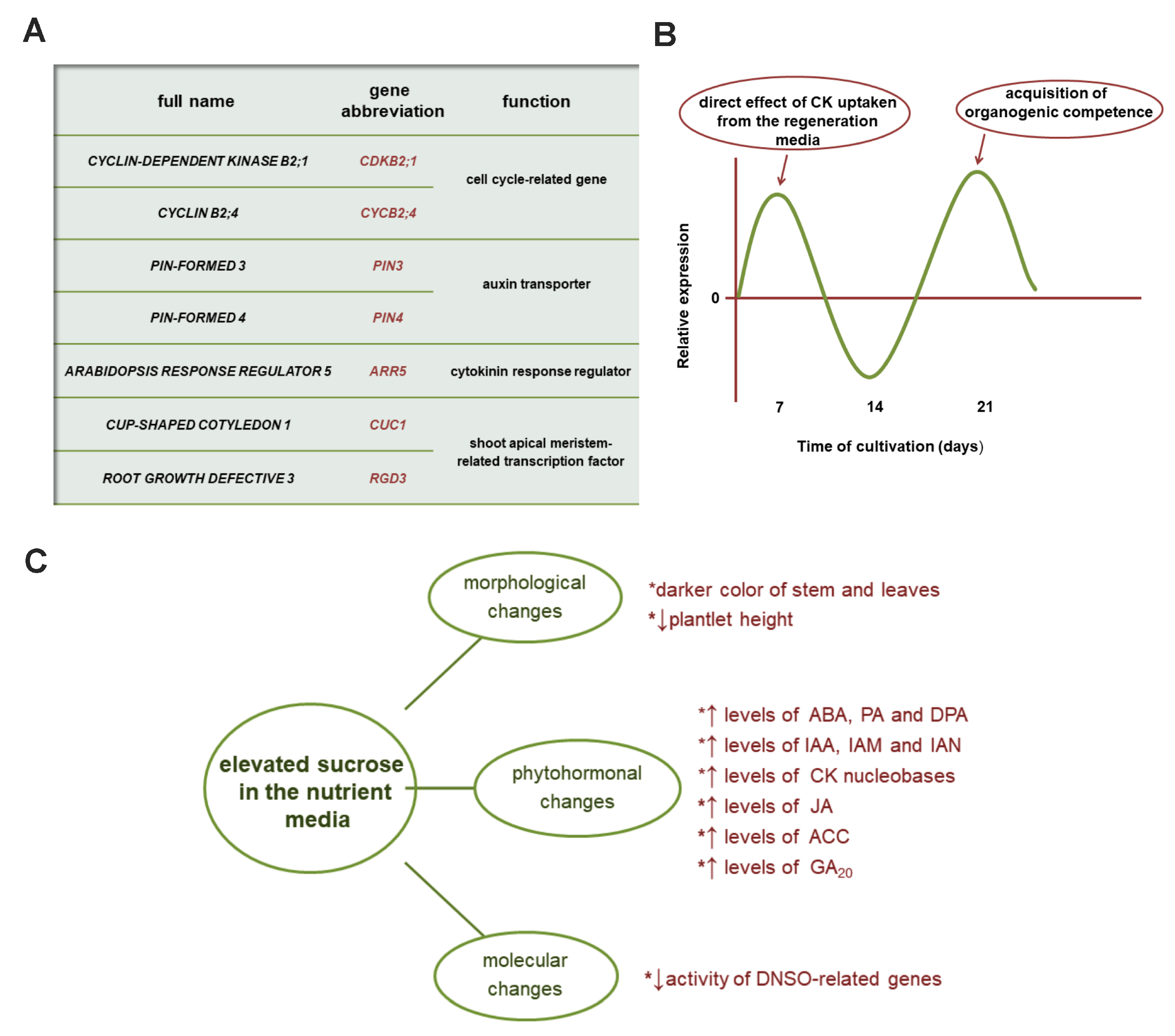 Horticulturae 09 00674 g003 Horticulturae 09 00674 g003