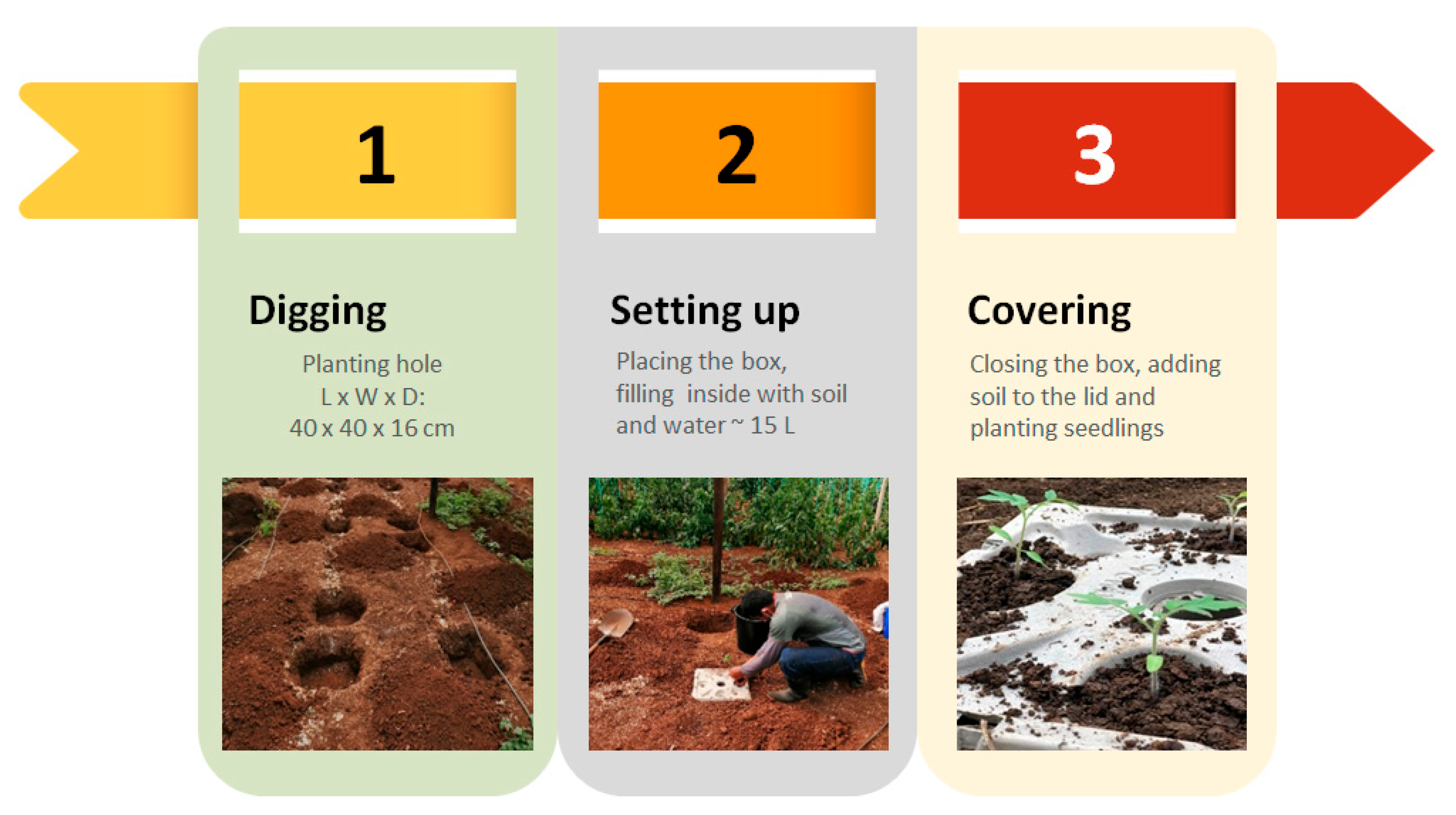 Horticulturae 09 00683 g002