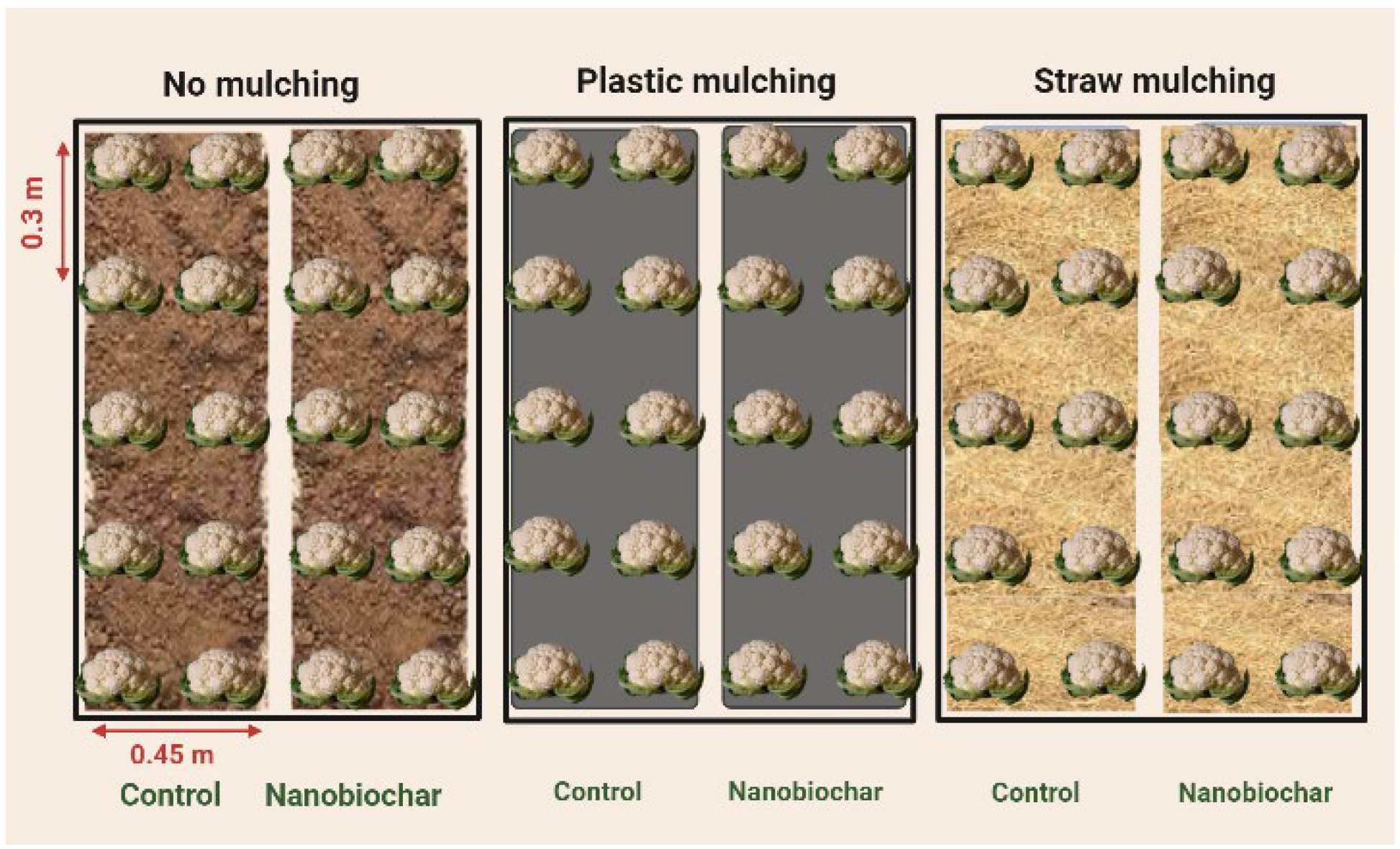 Horticulturae 09 00687 g001