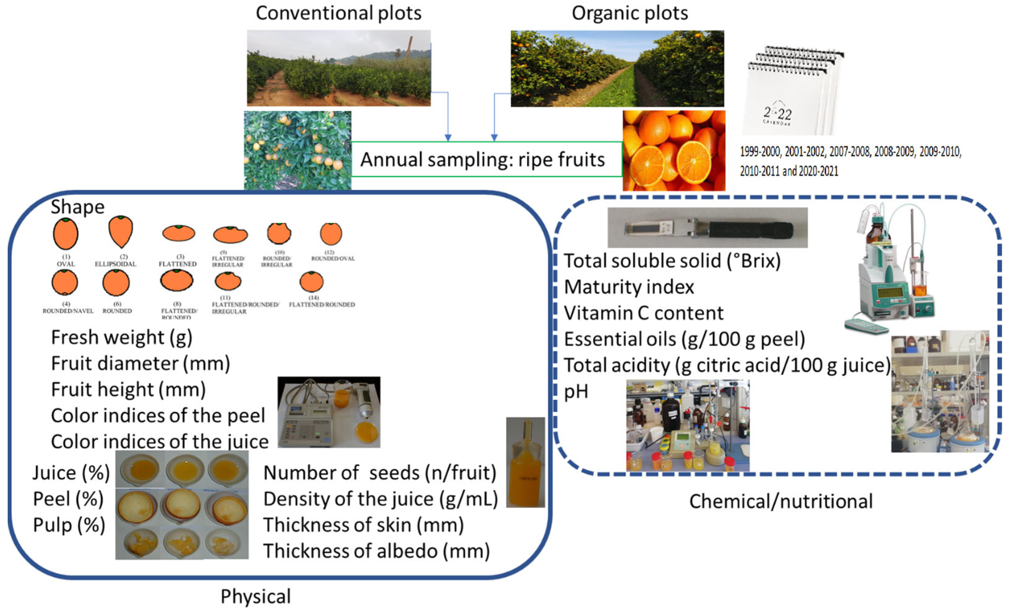 Horticulturae 09 00721 g001