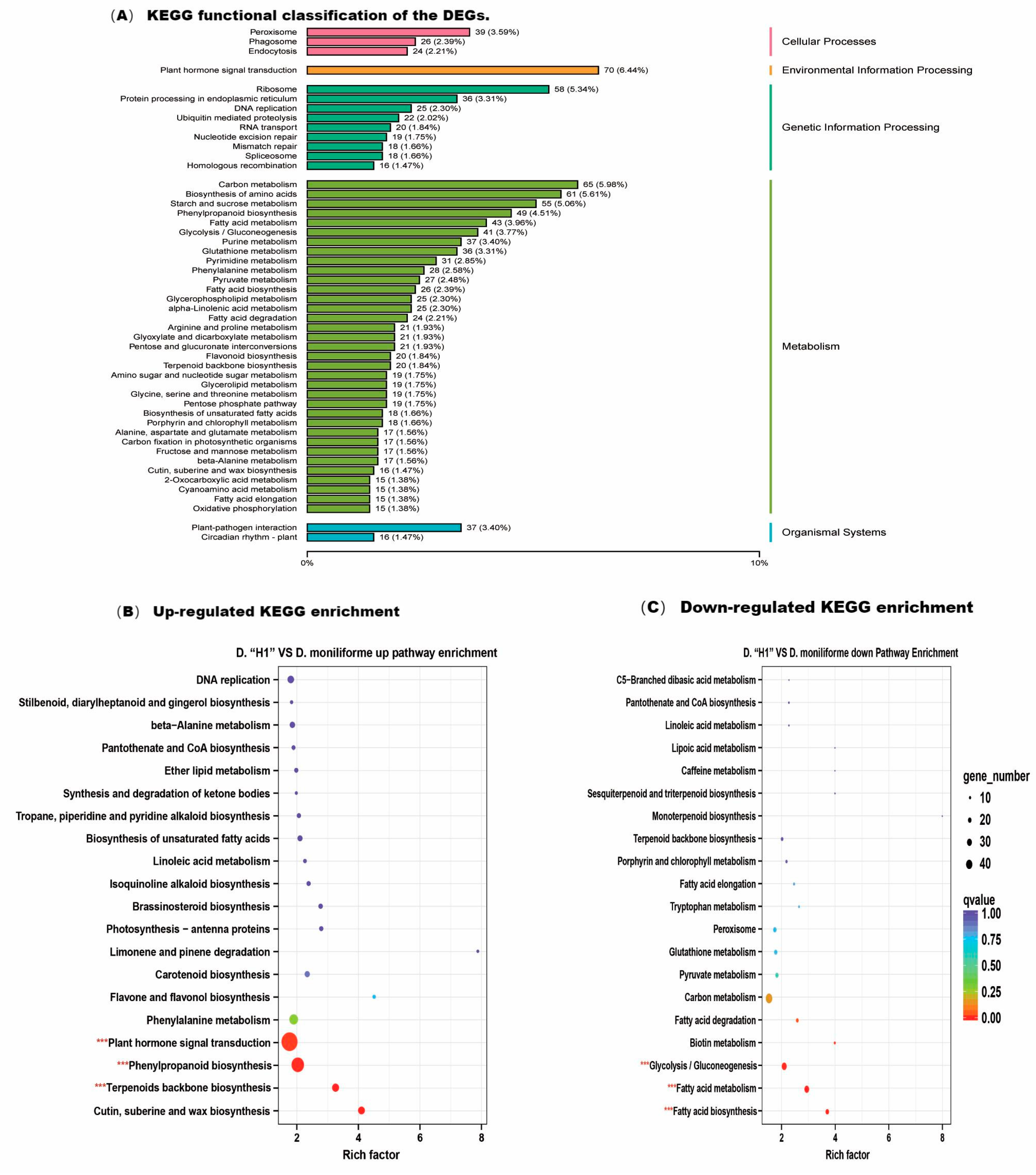 Horticulturae 09 00745 g004 Horticulturae 09 00745 g004