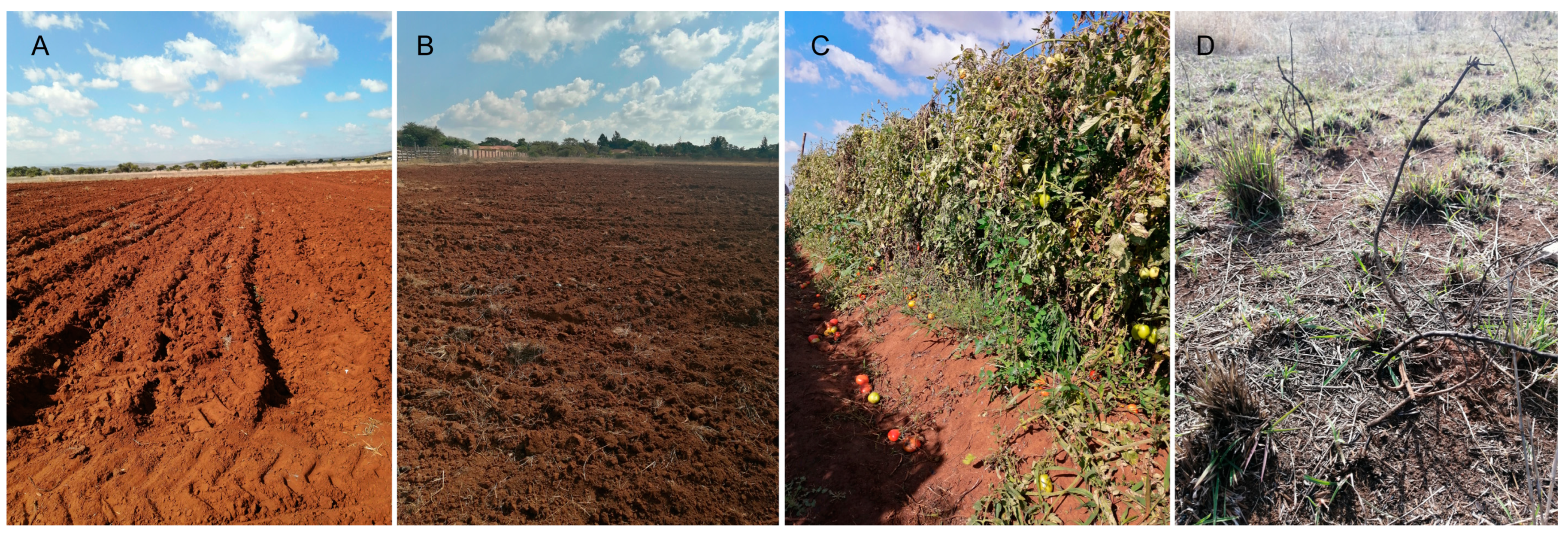 Horticulturae 09 00749 g001 Horticulturae 09 00749 g001